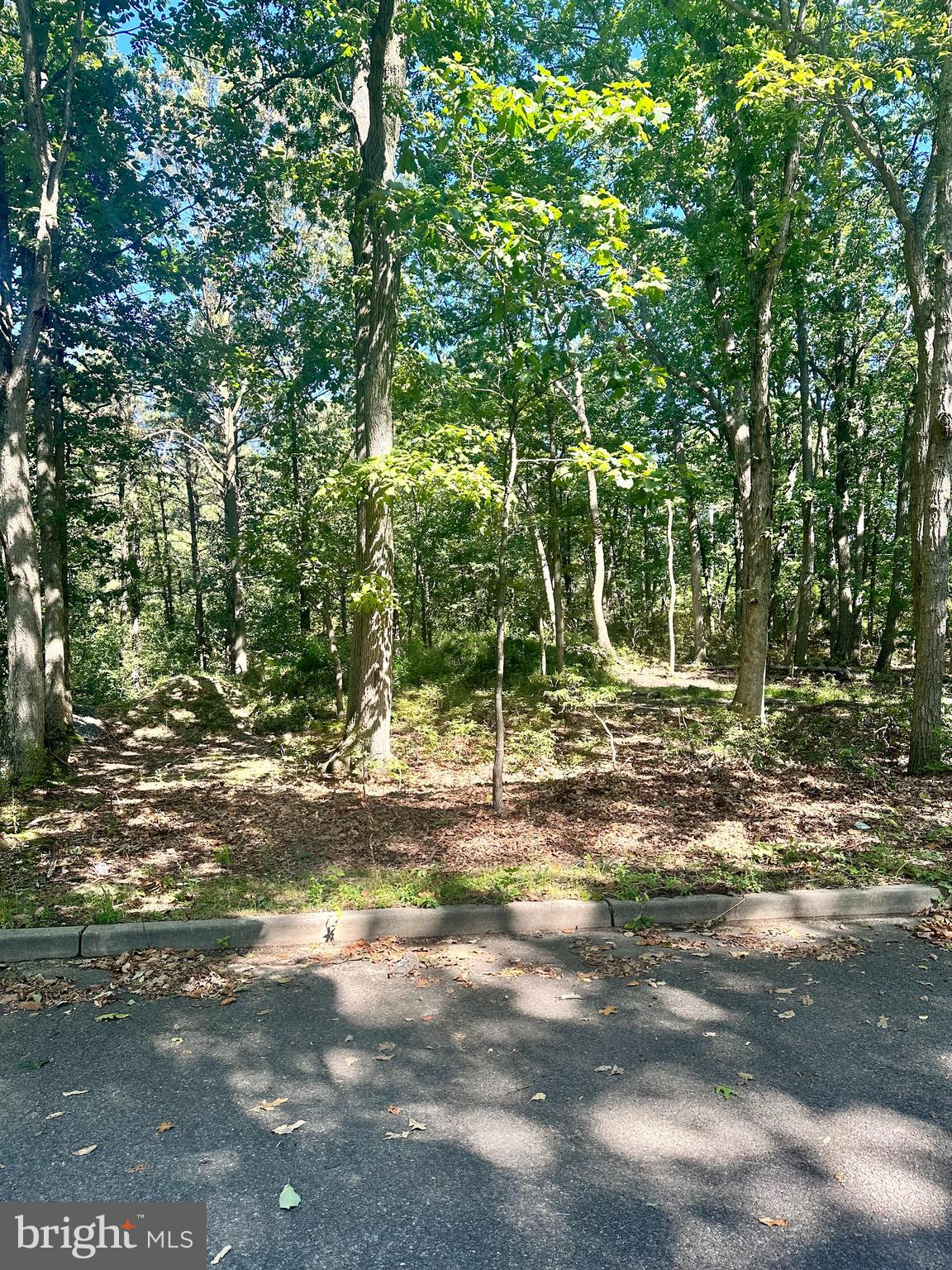 0 Bangor Avenue Lindenwold, NJ 08021 - Photo 12 of 15