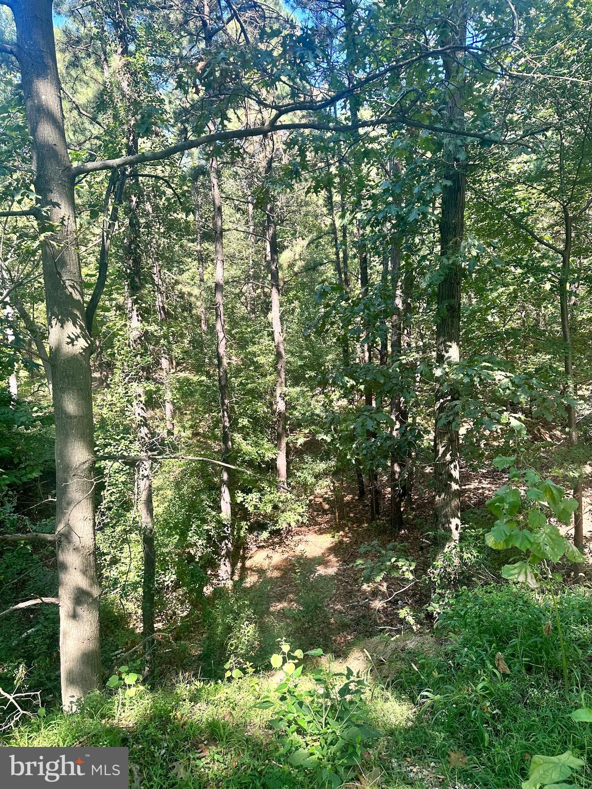 0 Bangor Avenue Lindenwold, NJ 08021 - Photo 13 of 15