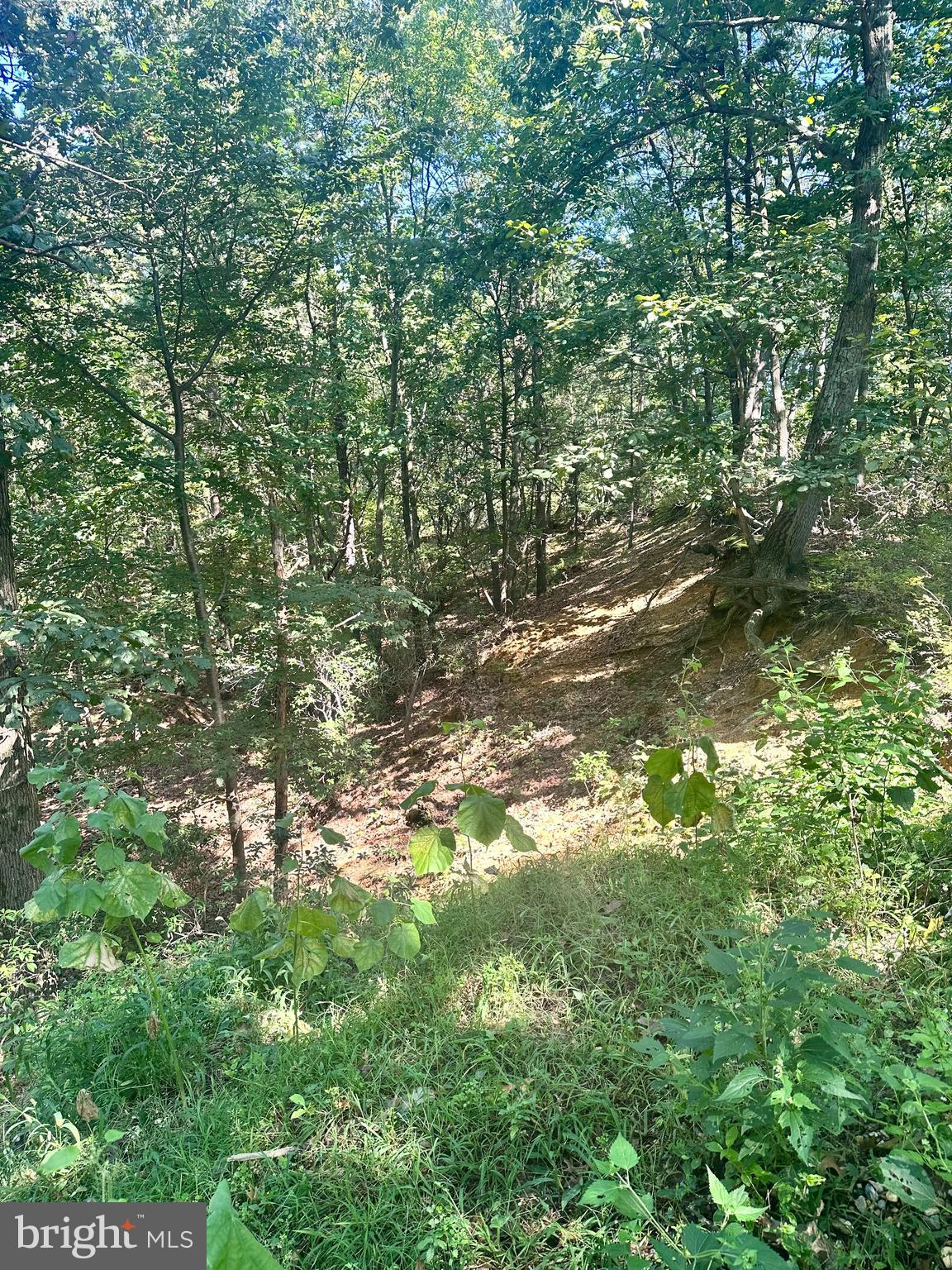 0 Bangor Avenue Lindenwold, NJ 08021 - Photo 2 of 15