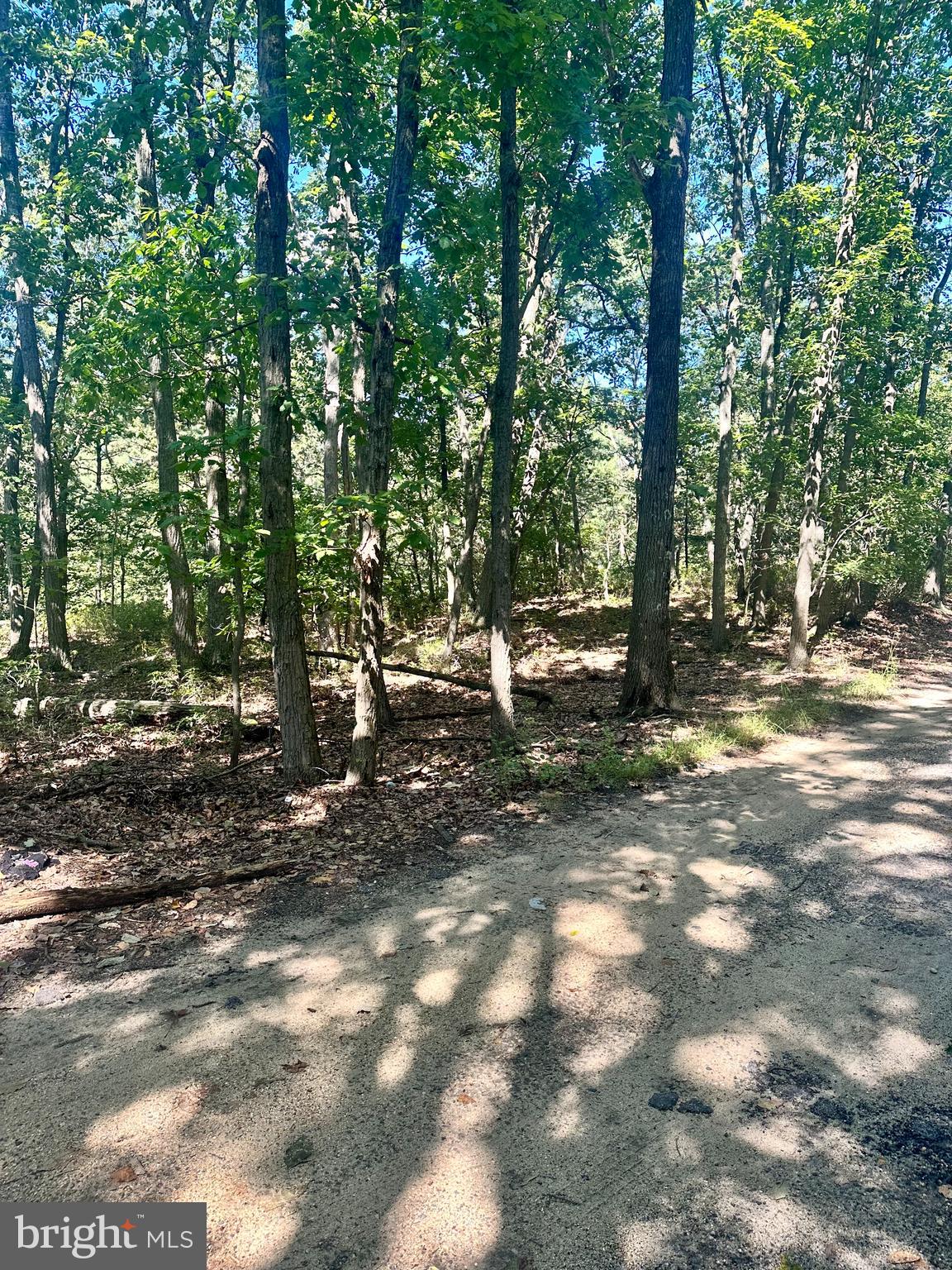 0 Bangor Avenue Lindenwold, NJ 08021 - Photo 3 of 15