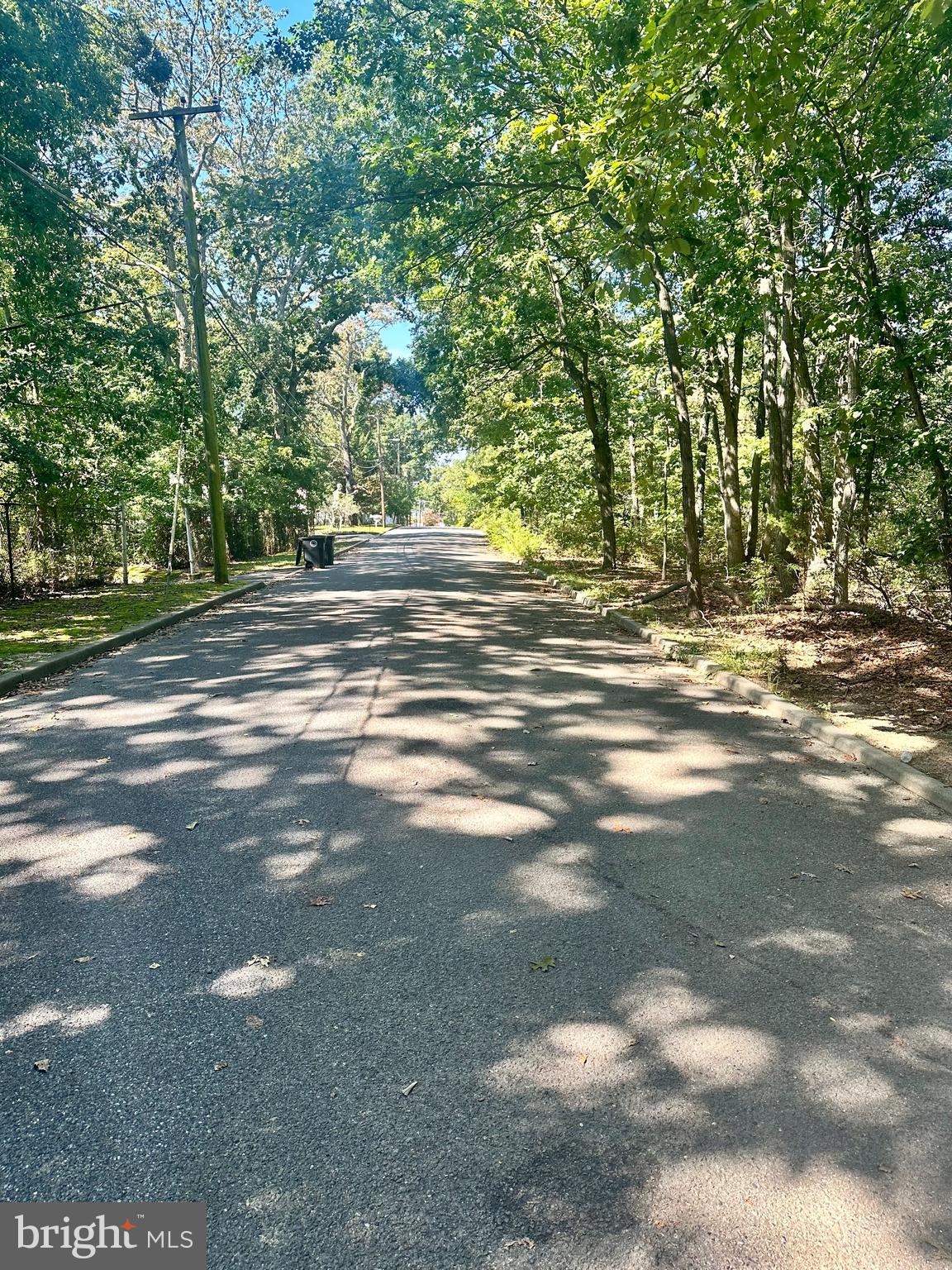 0 Bangor Avenue Lindenwold, NJ 08021 - Photo 4 of 15