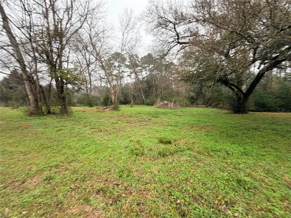a view of a field with trees in the background