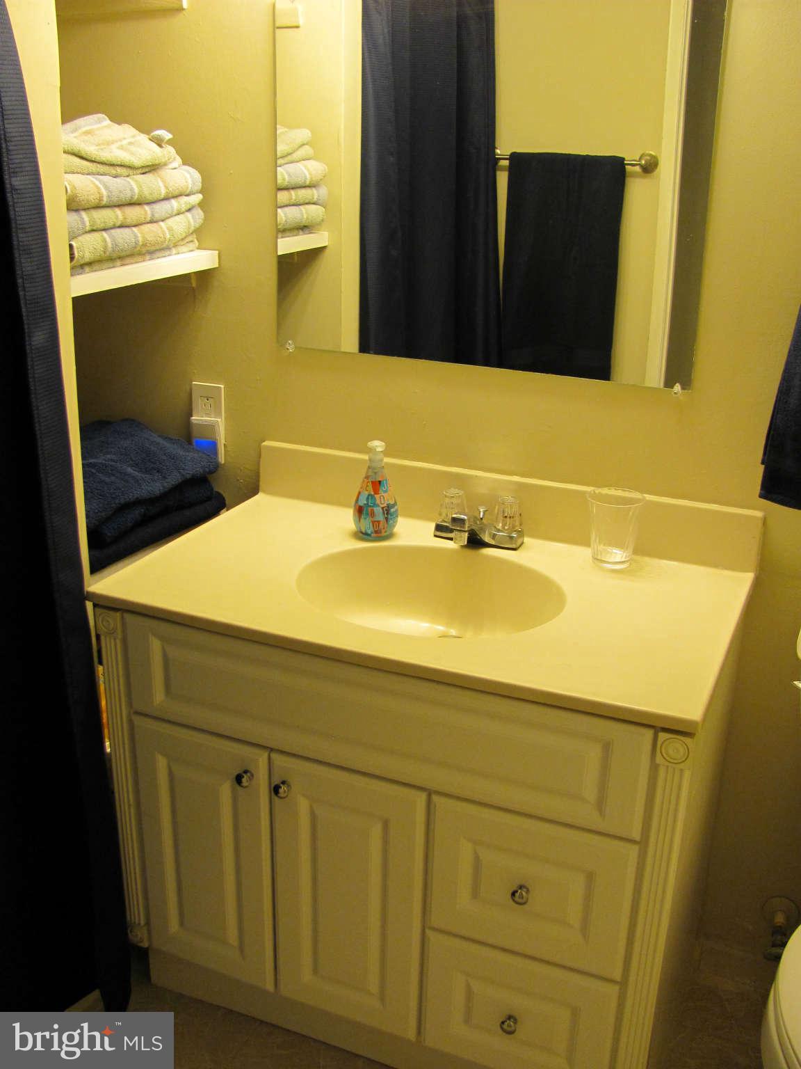 9757 Early Spring Way Columbia, MD 21046 - Photo 23 of 30 Bath