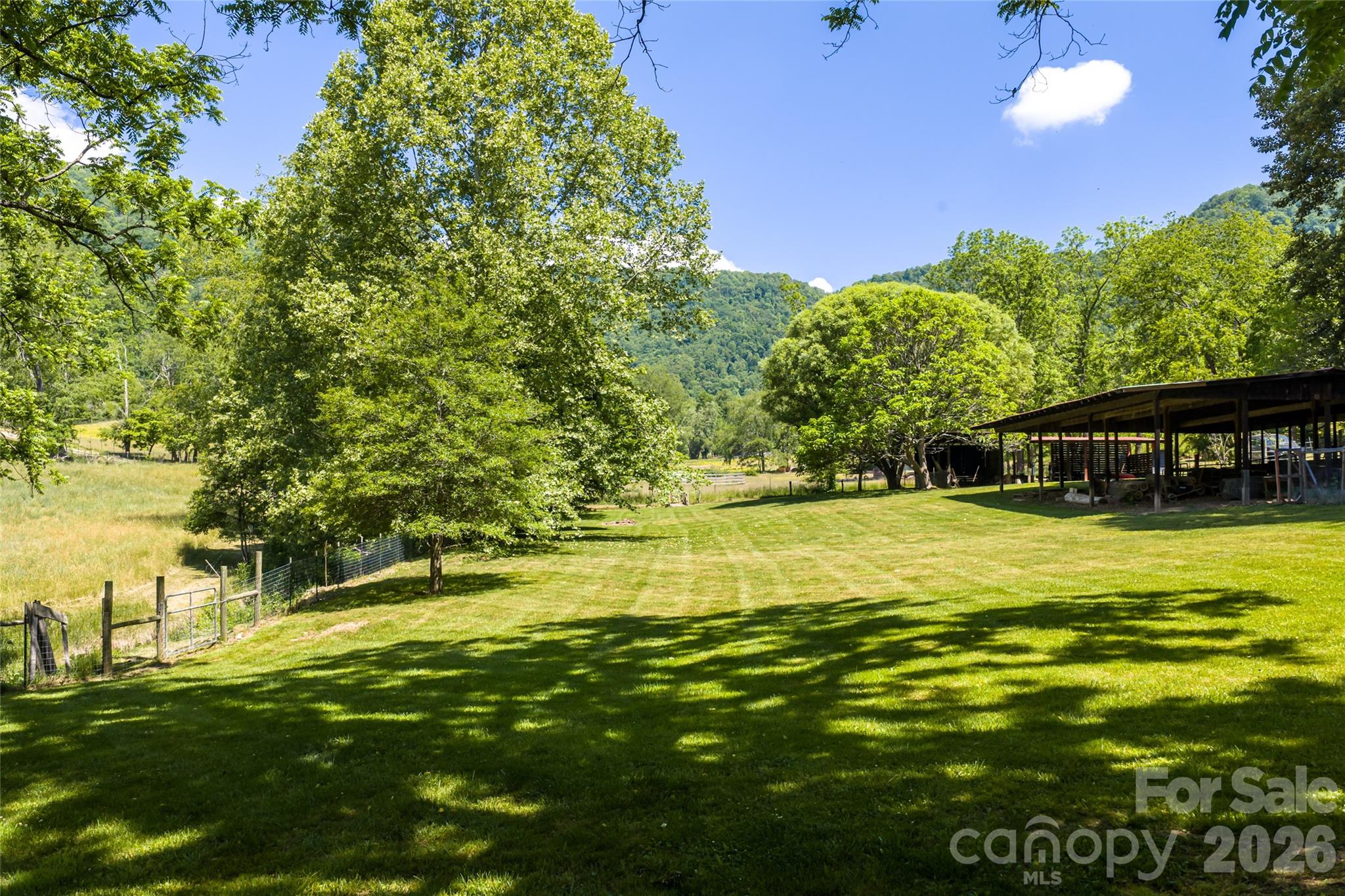 741 Morrow Branch Road Leicester, NC 28748 - Photo 46 of 47