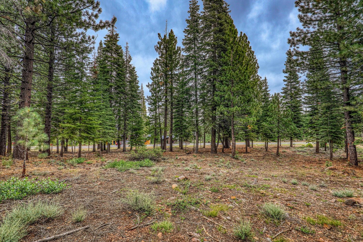 9270 Brae Road Truckee, CA 96161 - Photo 3 of 16