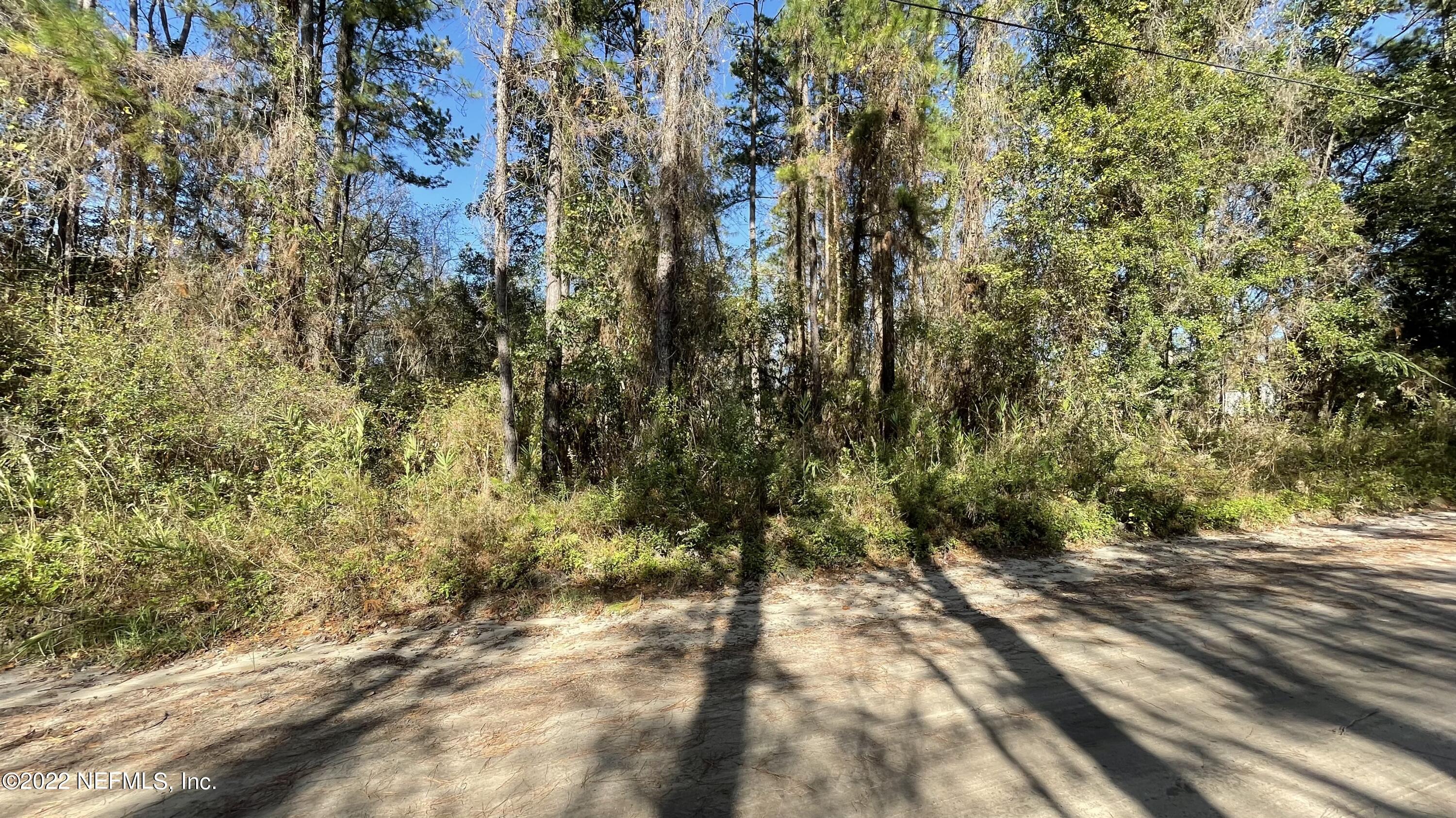 0 Falcon Run Lane Middleburg, FL 32068 - Photo 2 of 3 a view of a yard