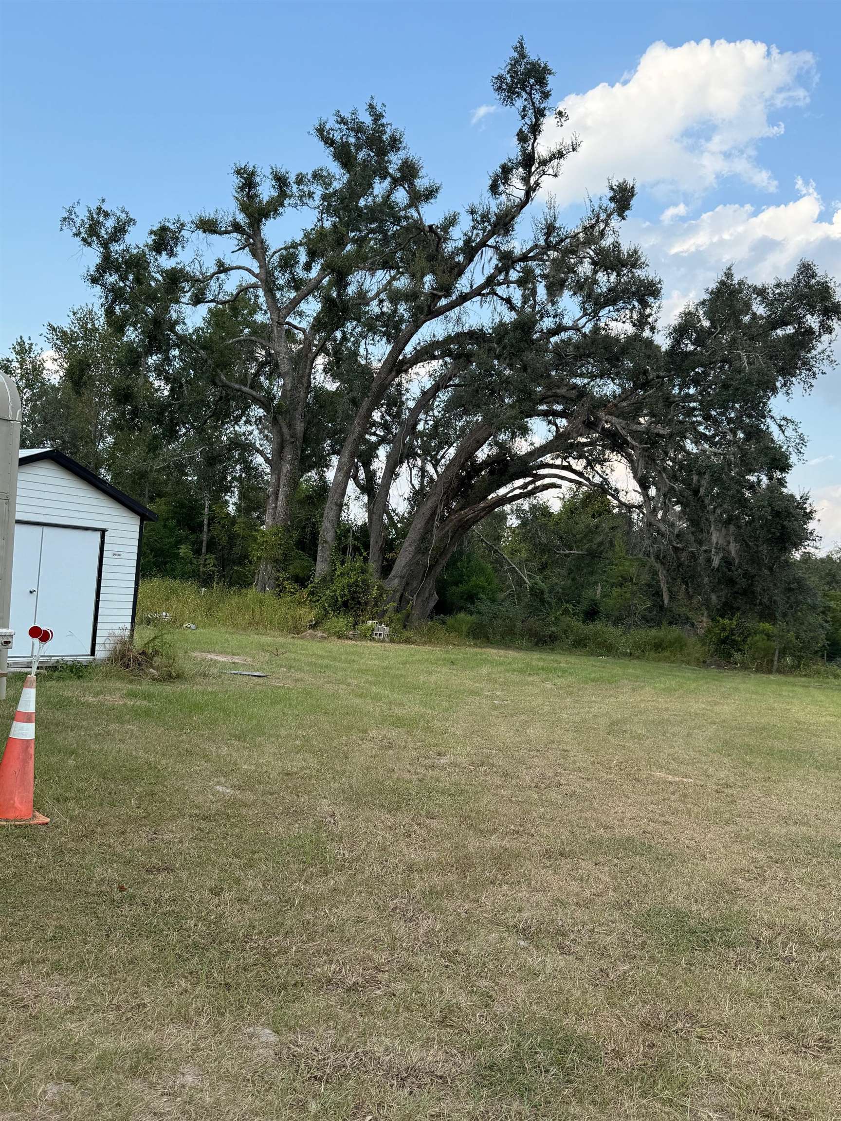 Undisclosed Address Pinetta, FL 32350 - Photo 30 of 43