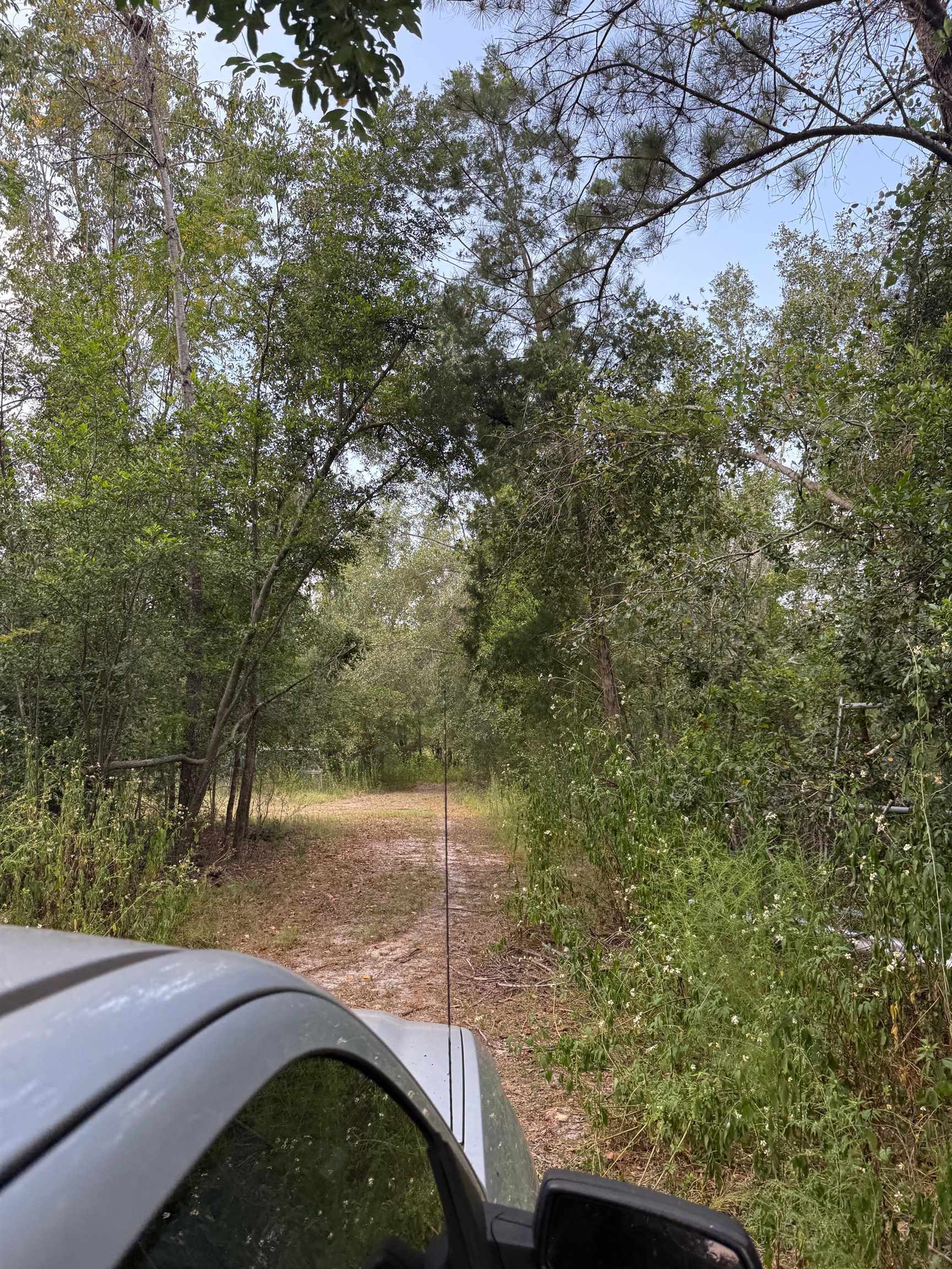 Undisclosed Address Pinetta, FL 32350 - Photo 33 of 43