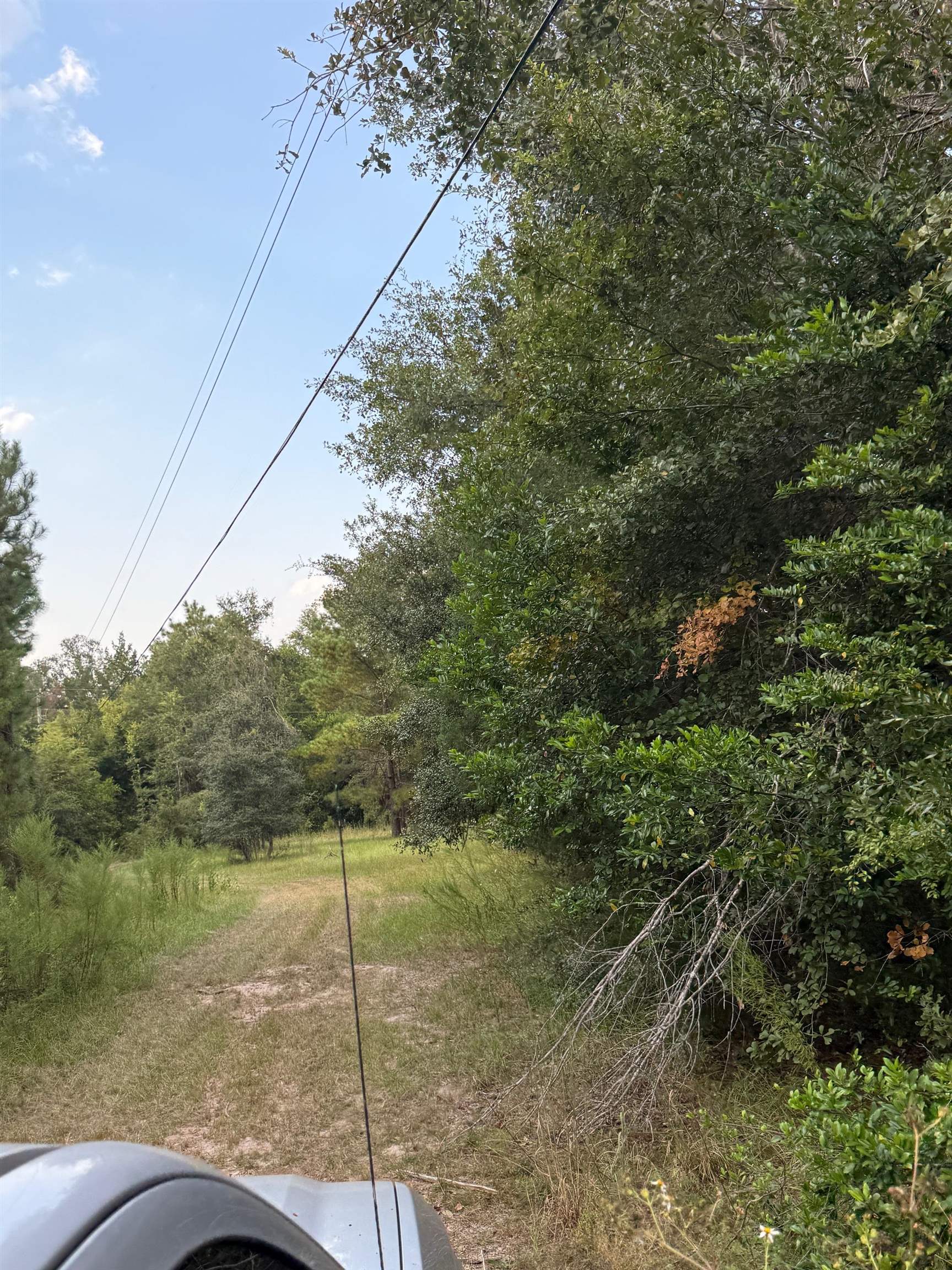 Undisclosed Address Pinetta, FL 32350 - Photo 40 of 43