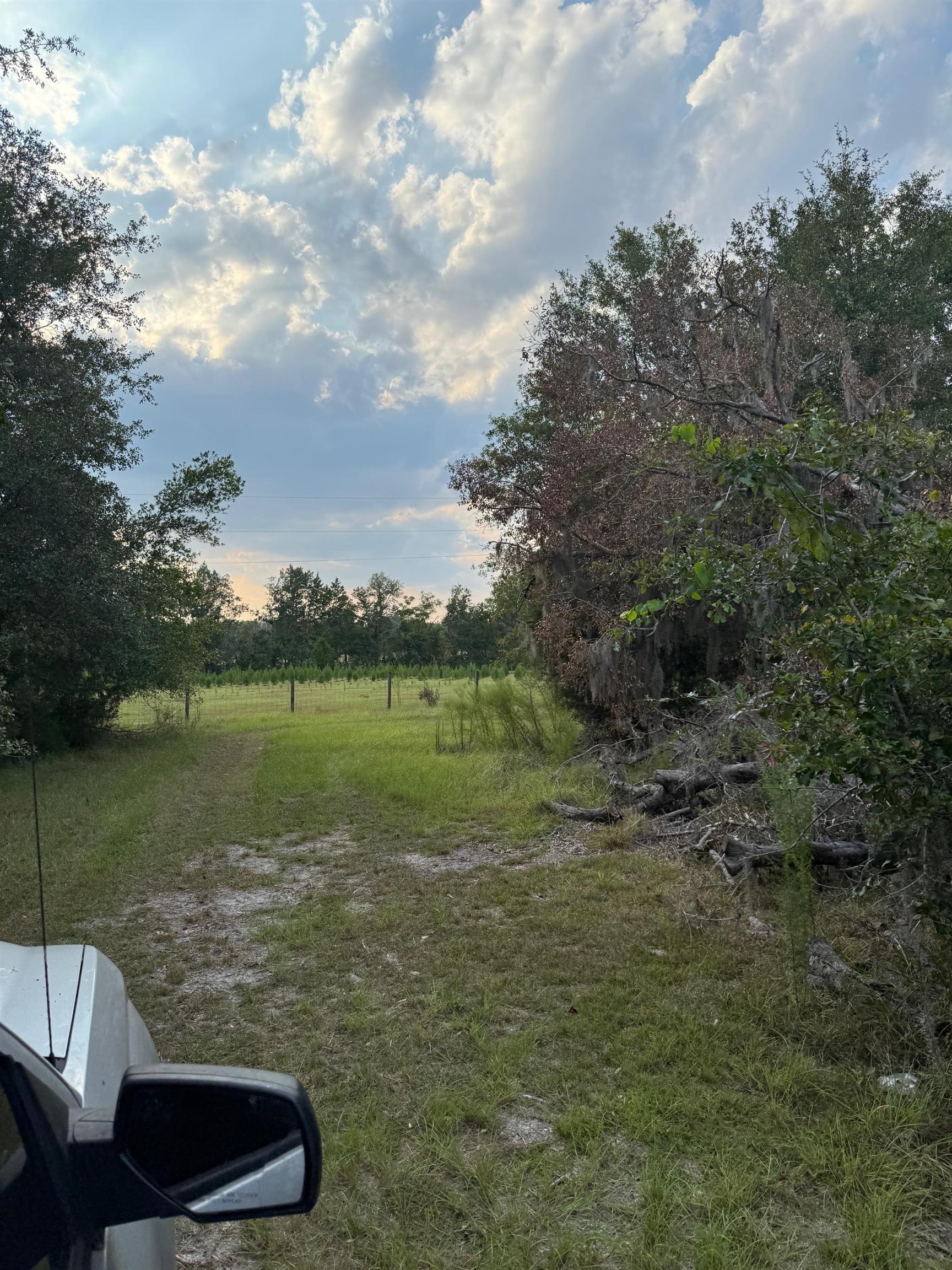 Undisclosed Address Pinetta, FL 32350 - Photo 41 of 43