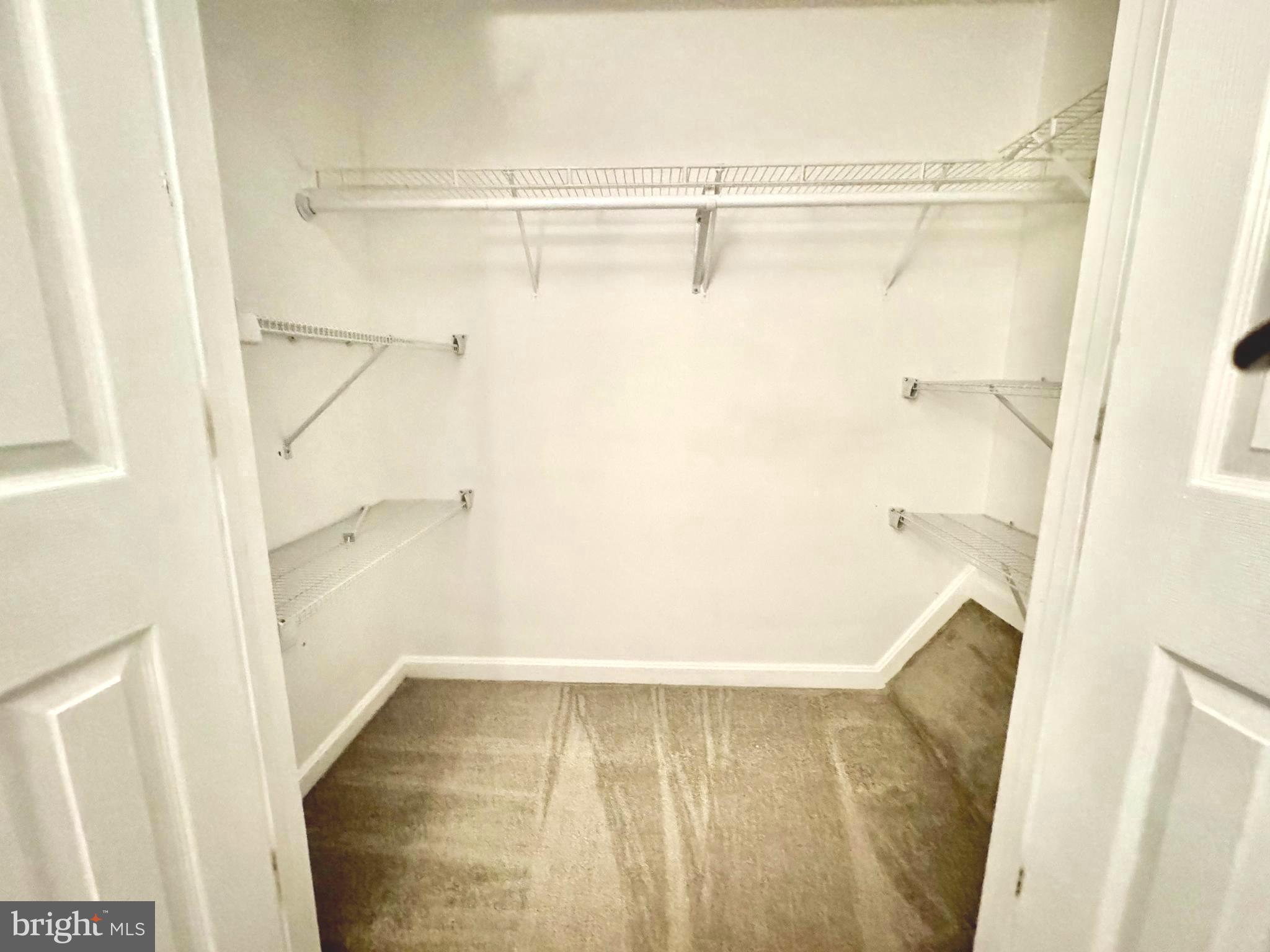 597 Primus Court Frederick, MD 21703 - Photo 24 of 53 Master bedroom Closet