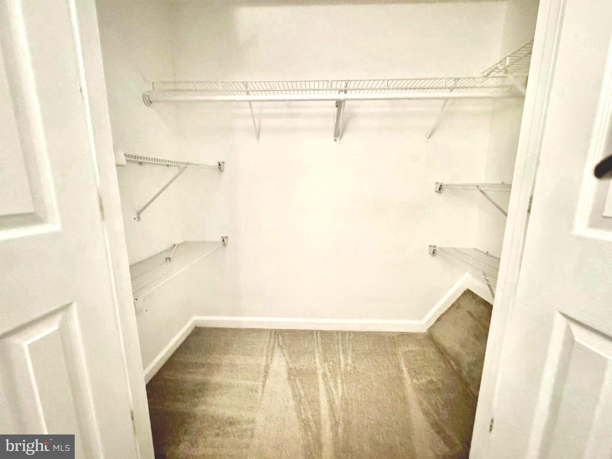 597 Primus Court Frederick, MD 21703 - Photo 25 of 53 Master bedroom Closet