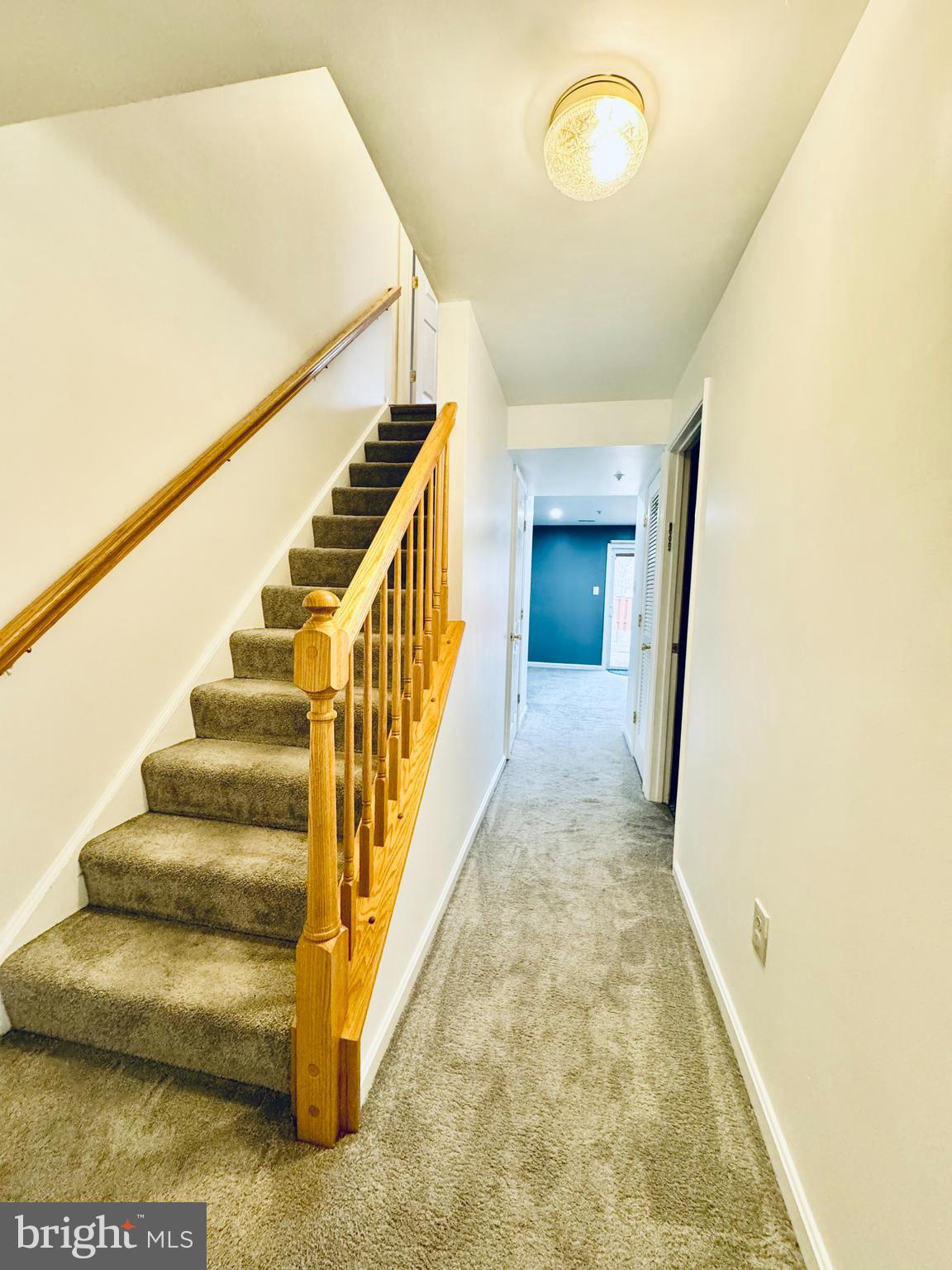 597 Primus Court Frederick, MD 21703 - Photo 40 of 53 Basement Hall Way