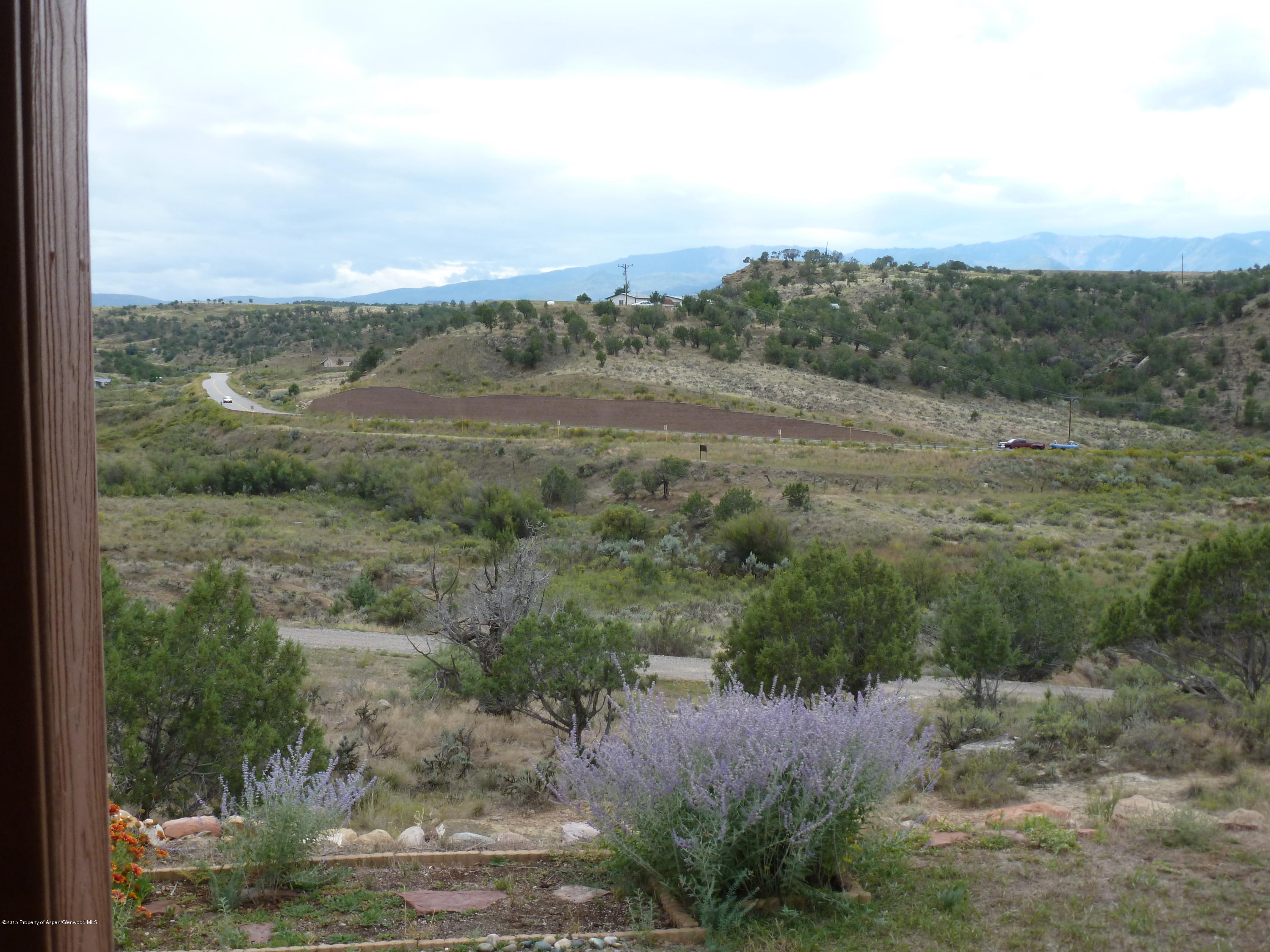 190 Rio Seco Silt, CO 81652 - Photo 3 of 13 P1020652