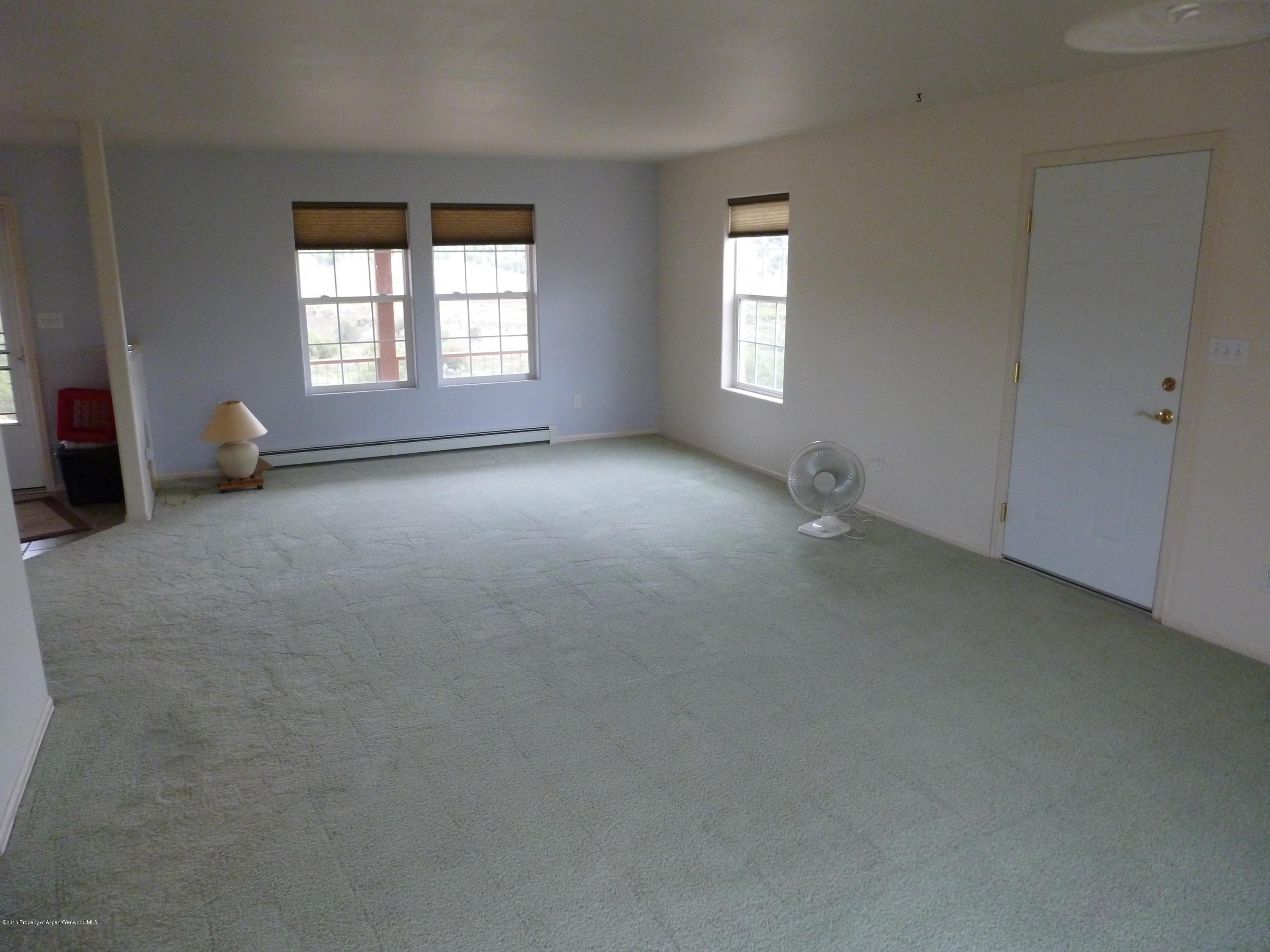 190 Rio Seco Silt, CO 81652 - Photo 4 of 13 P1020653