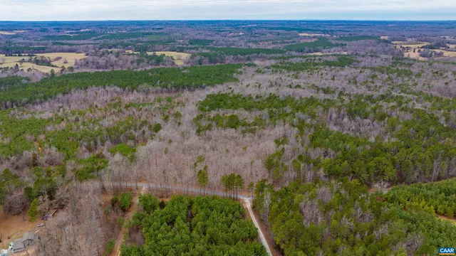 a view of a lush green forest with lots of trees