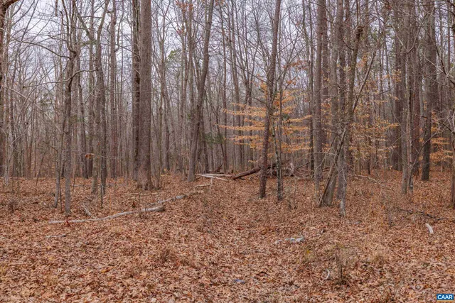 $99,900 | Lot 1 Piney Green Road, Crewe, VA 23930