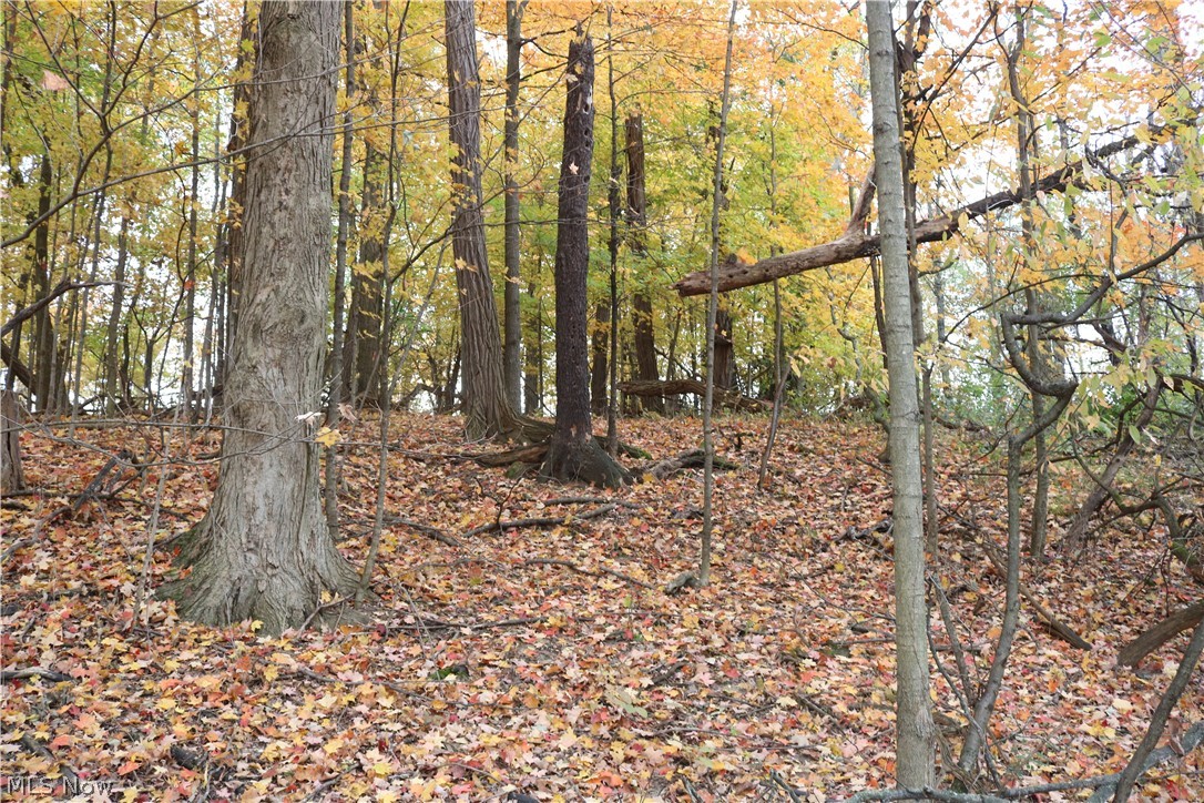 7410 Vandemark Road Lodi, OH 44254 - Photo 28 of 30 Gallery Image 28