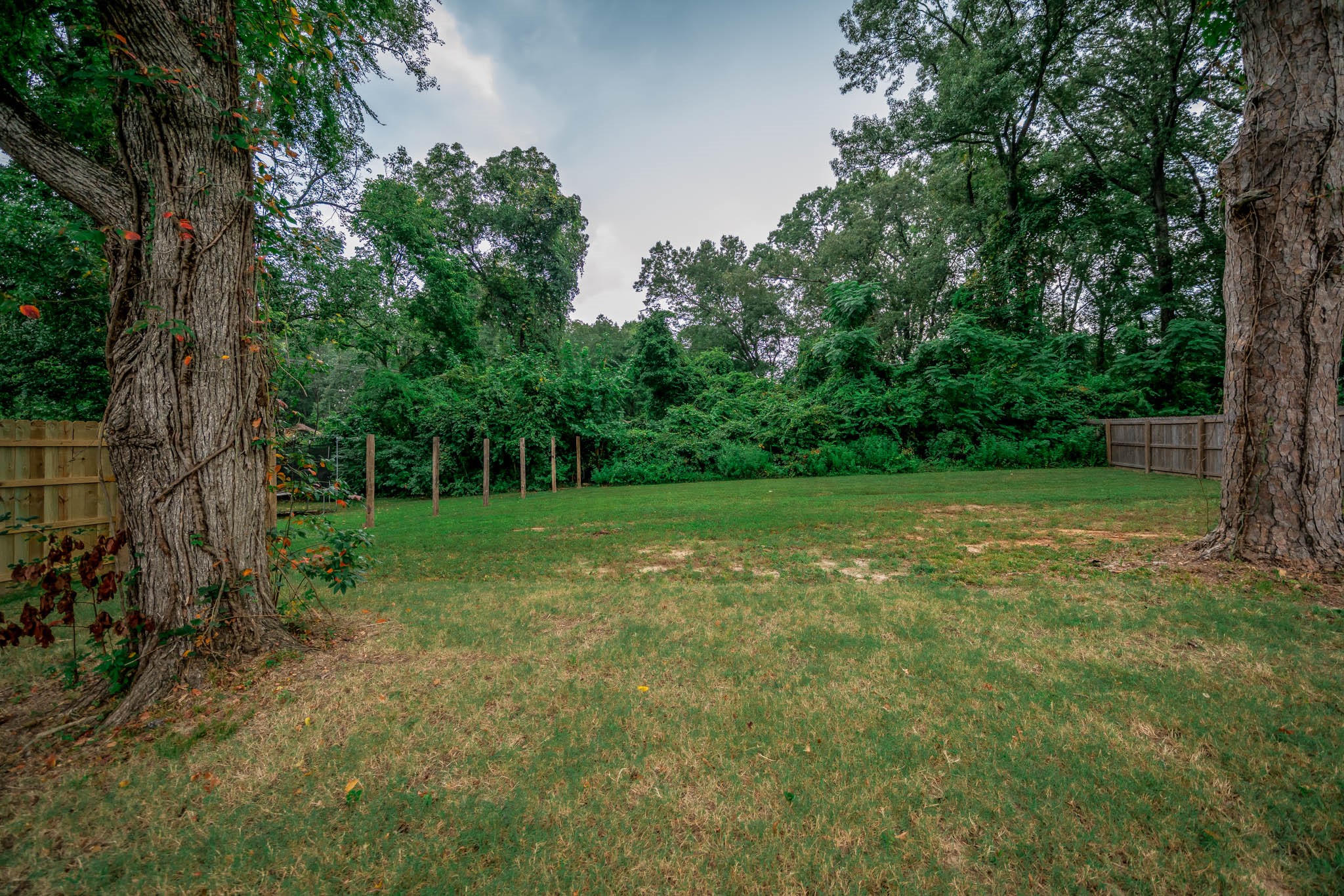 113 West Ruth Street White Oak, TX 75693 - Photo 26 of 27 a view of a garden with a tree