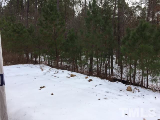 3908 Mike Levi Court Raleigh, NC 27610 - Photo 2 of 10 a view of a snow on the road
