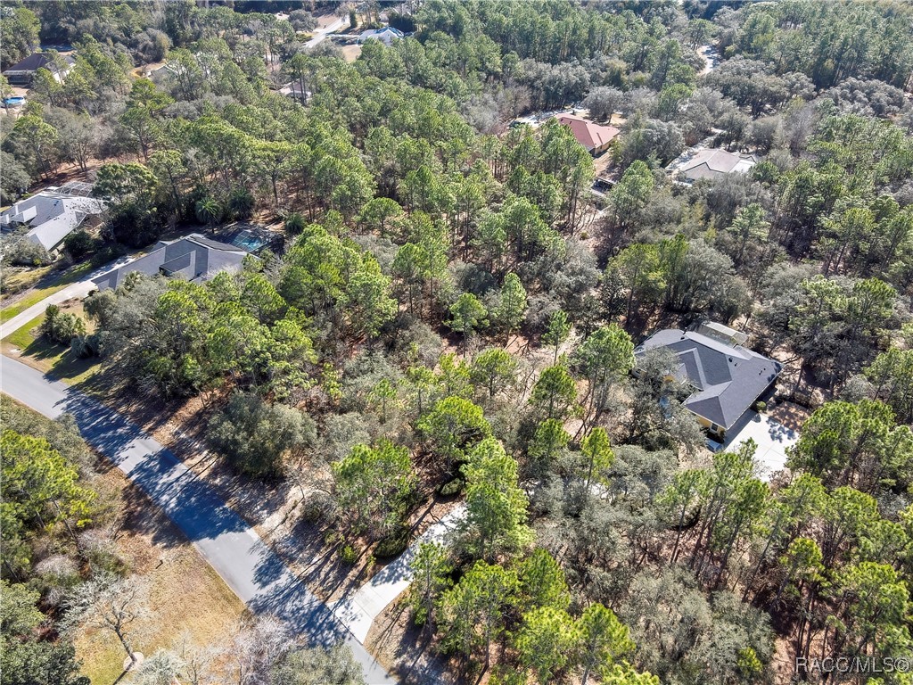 3921 North Longvalley Road Hernando, FL 34442 - Photo 3 of 11