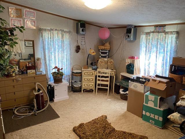5448 Powers Road Alanson, MI 49706 - Photo 7 of 17 Gallery Image 7