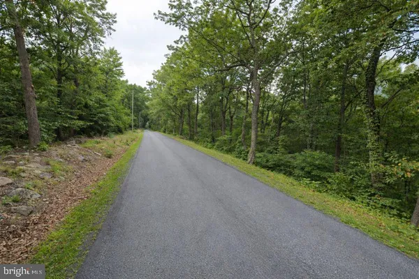 a view of a road with a yard