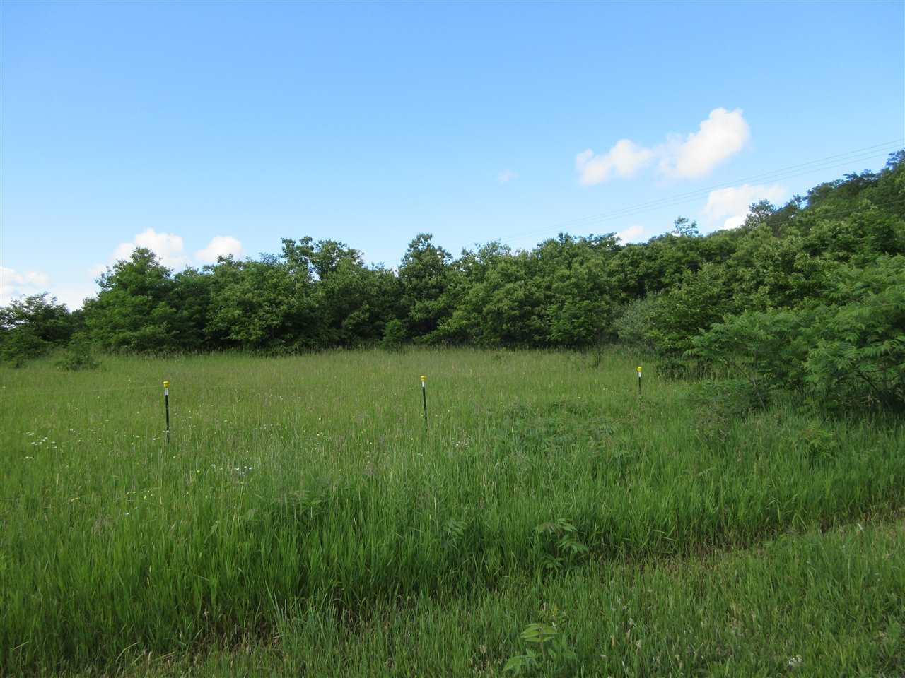 9870 North Manistee County Line Road Benzonia, MI 49616 - Photo 4 of 6 1835094-3.JPG