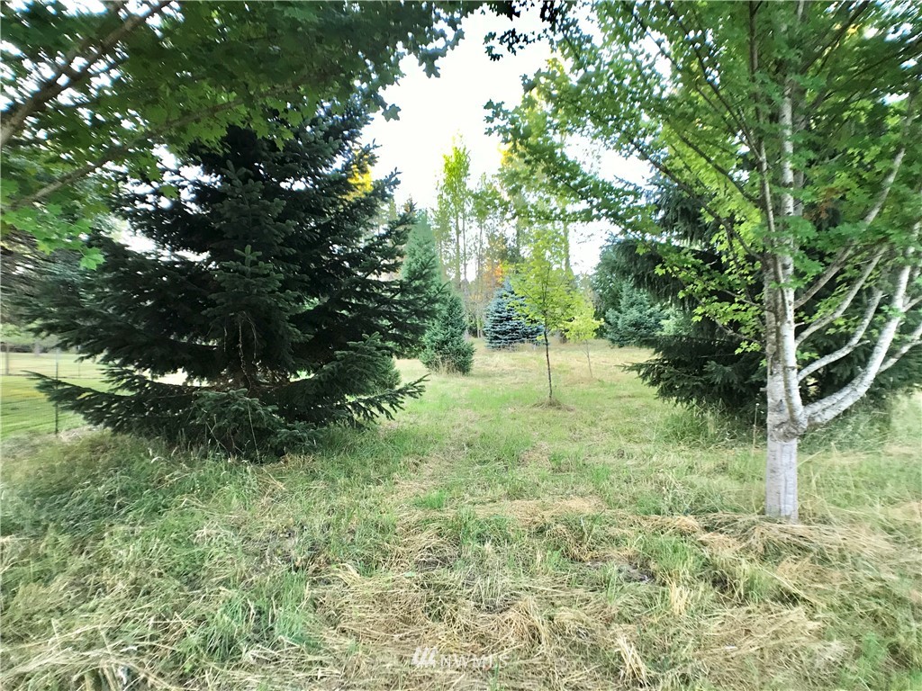 6018 Prather Road Southwest Centralia, WA 98531 - Photo 7 of 28 a view of backyard with green space