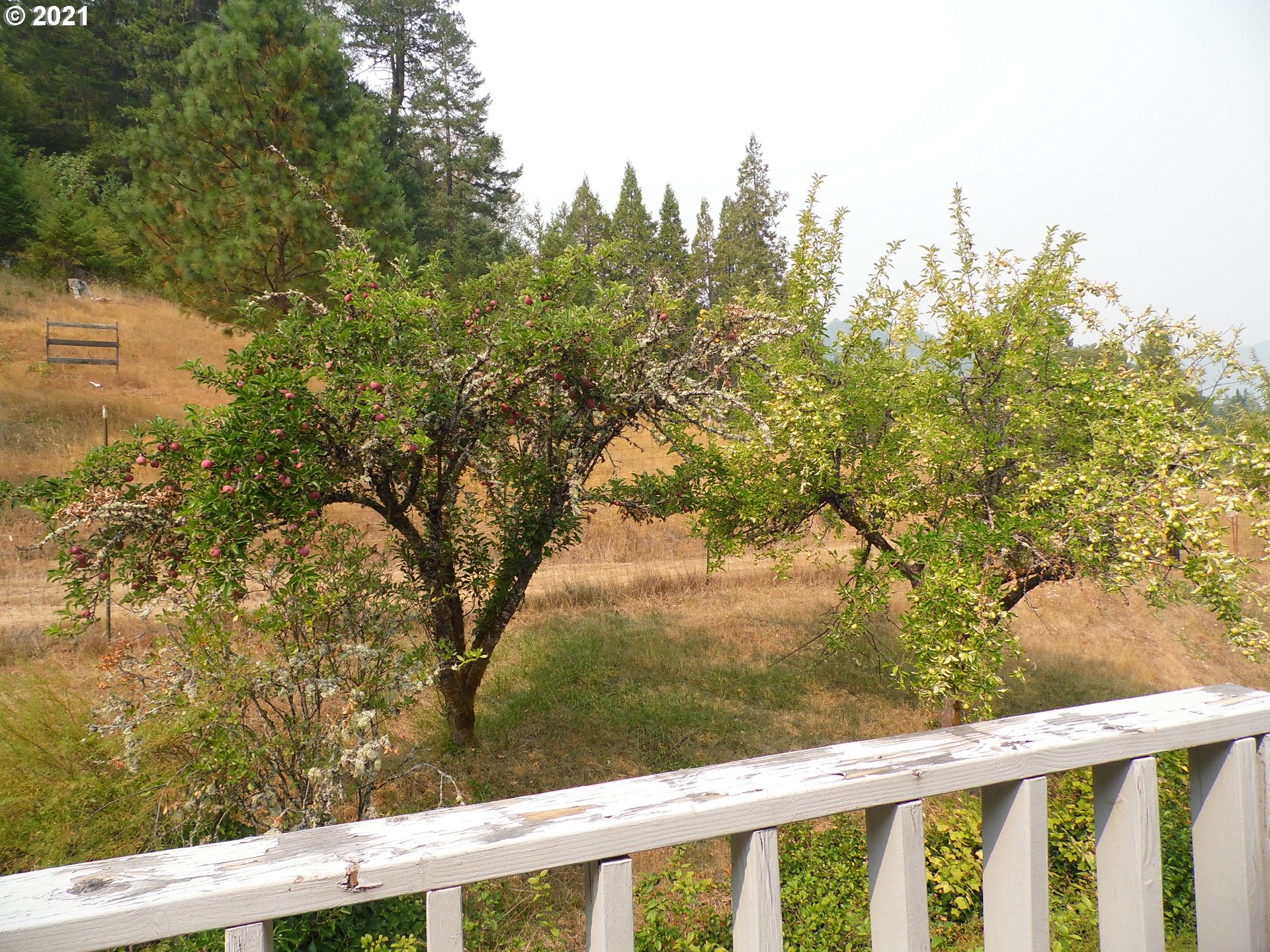 1953 Quines Creek Road Azalea, OR 97410 - Photo 21 of 30 Gallery Image 21