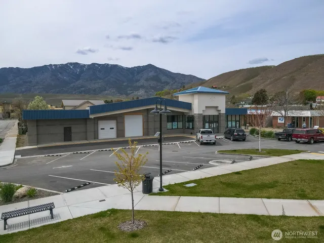 a view of a town with big yard and large tree