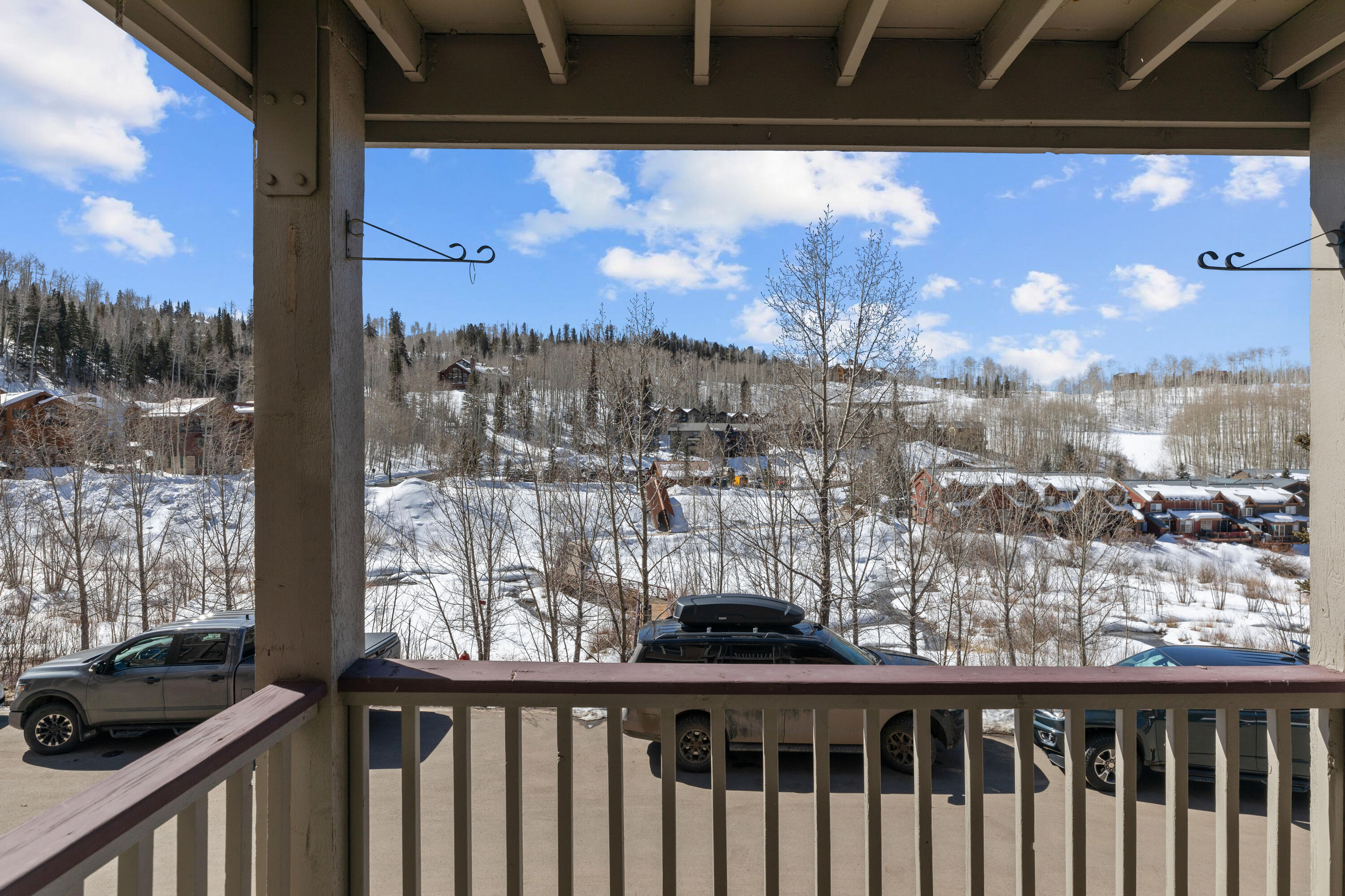 327 Adams Ranch Road, Unit 101 Mountain Village, CO 81435 - Photo 13 of 19 C12A1884