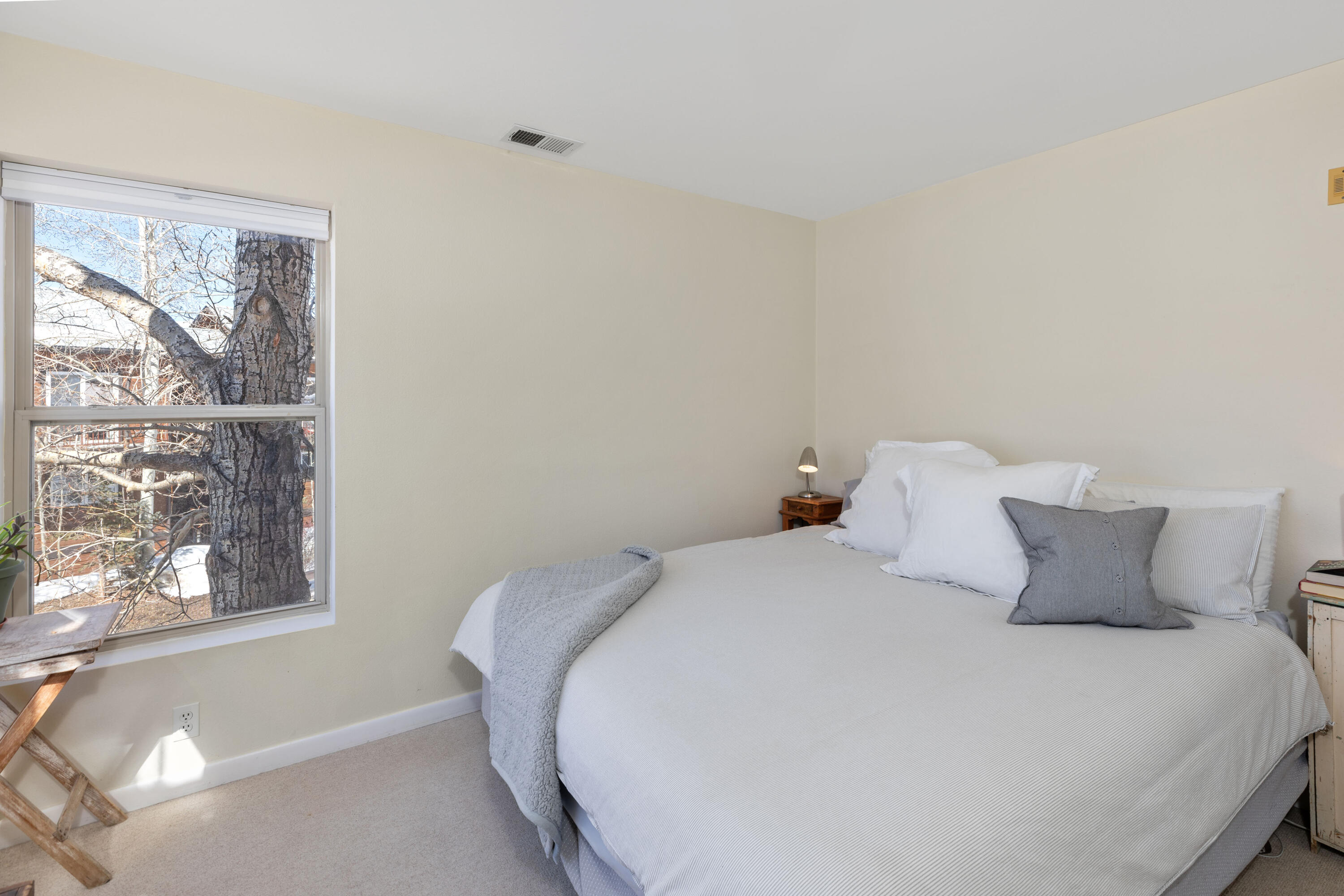327 Adams Ranch Road, Unit 101 Mountain Village, CO 81435 - Photo 9 of 19 C12A1851