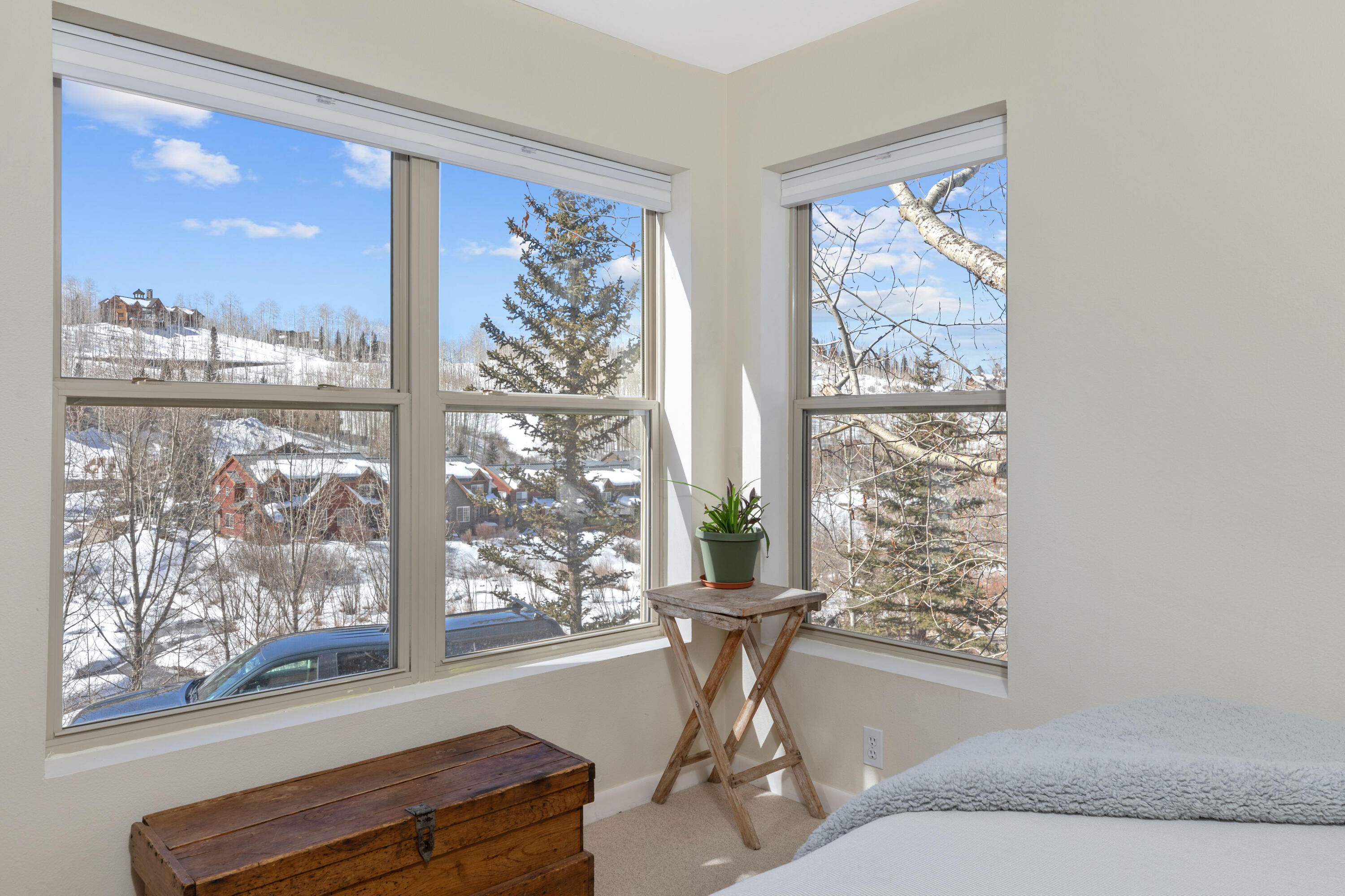 327 Adams Ranch Road, Unit 101 Mountain Village, CO 81435 - Photo 10 of 19 C12A1861