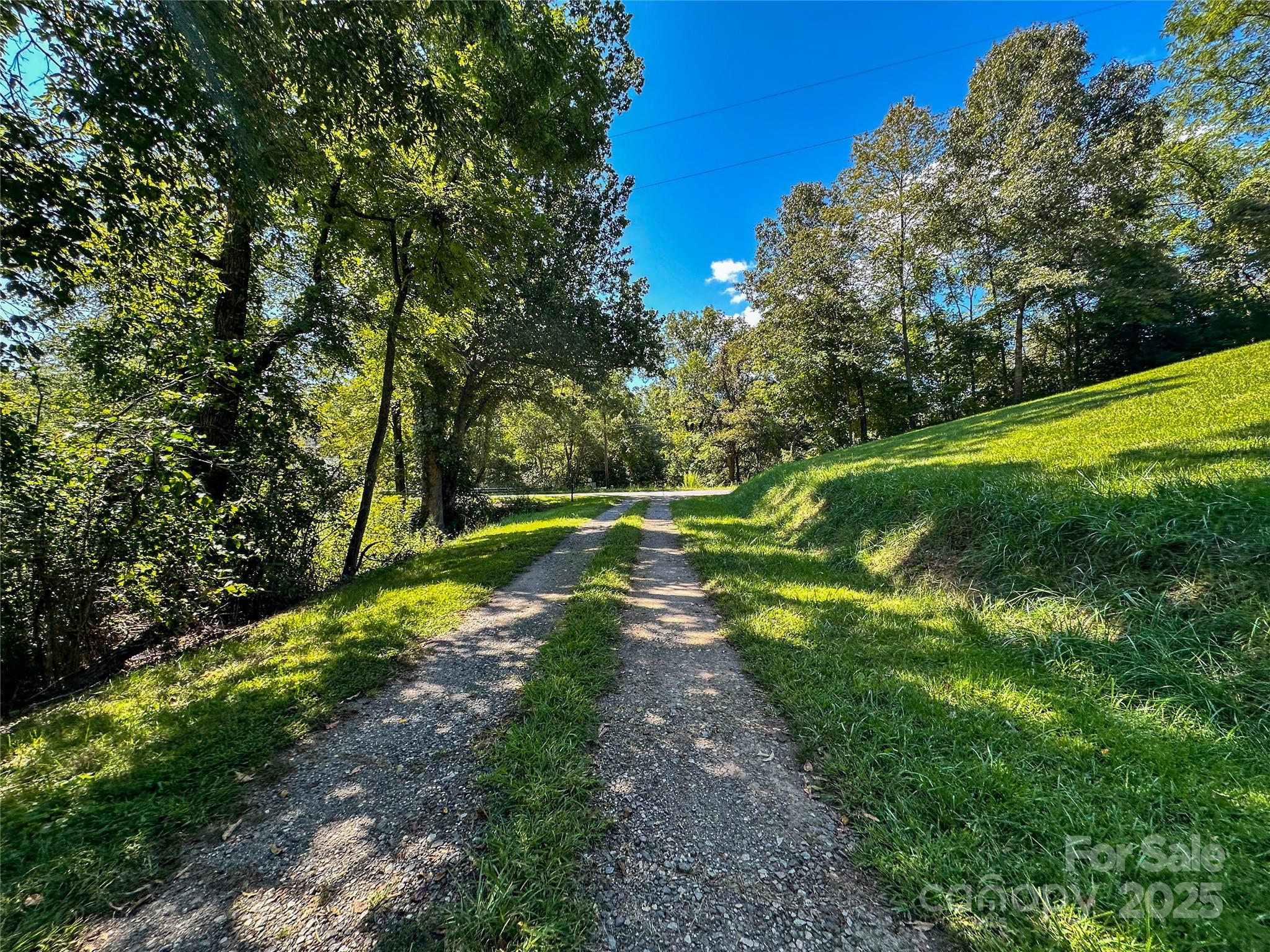 241 Canada Road Tuckasegee, NC 28783 - Photo 20 of 27 a view of a park with large trees