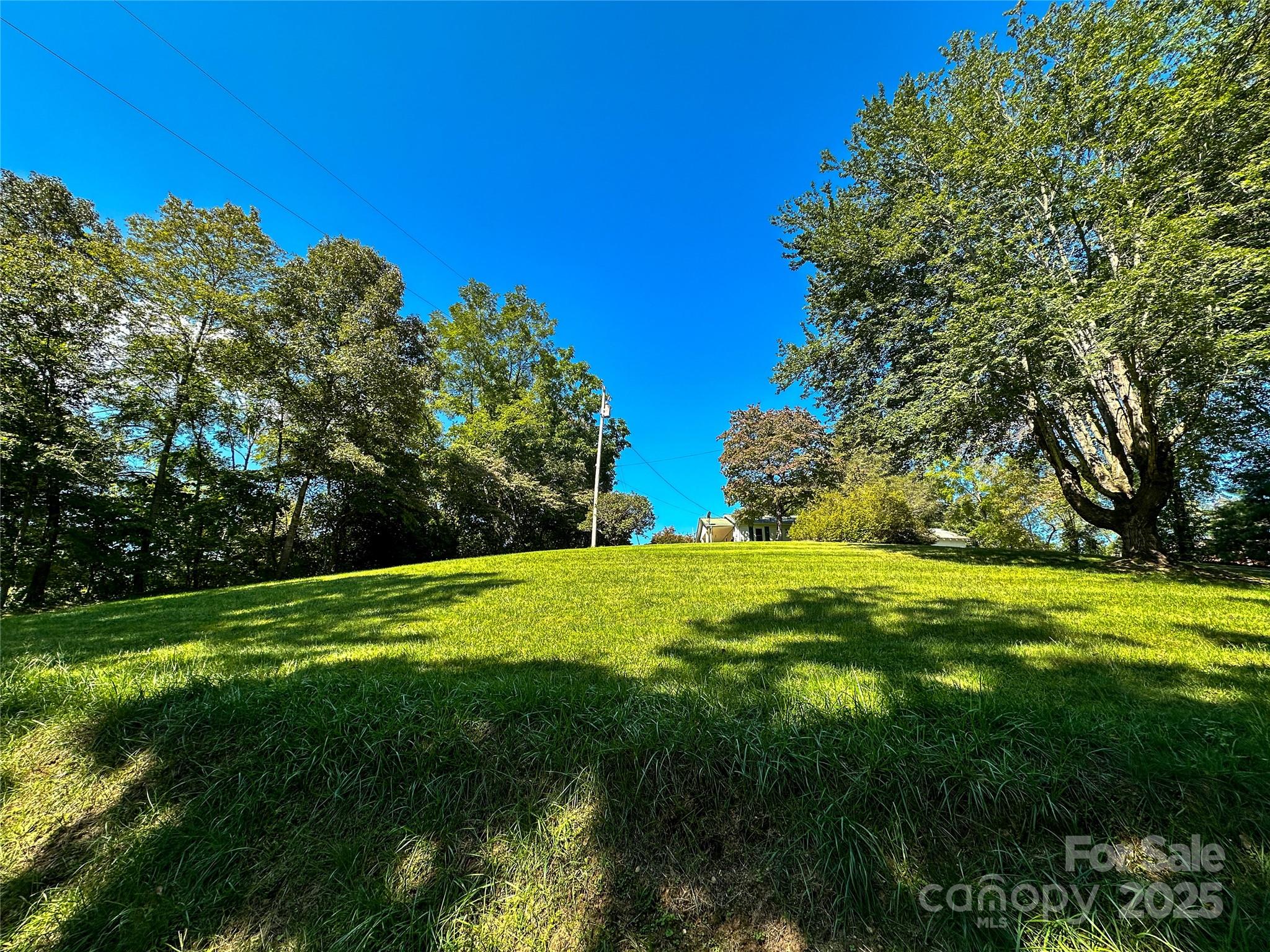 241 Canada Road Tuckasegee, NC 28783 - Photo 2 of 27 a view of a grassy field with trees