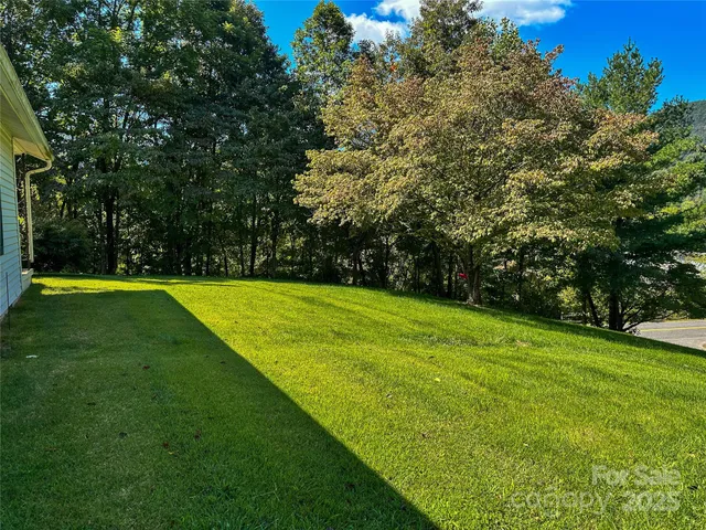 a view of a park with trees in the background