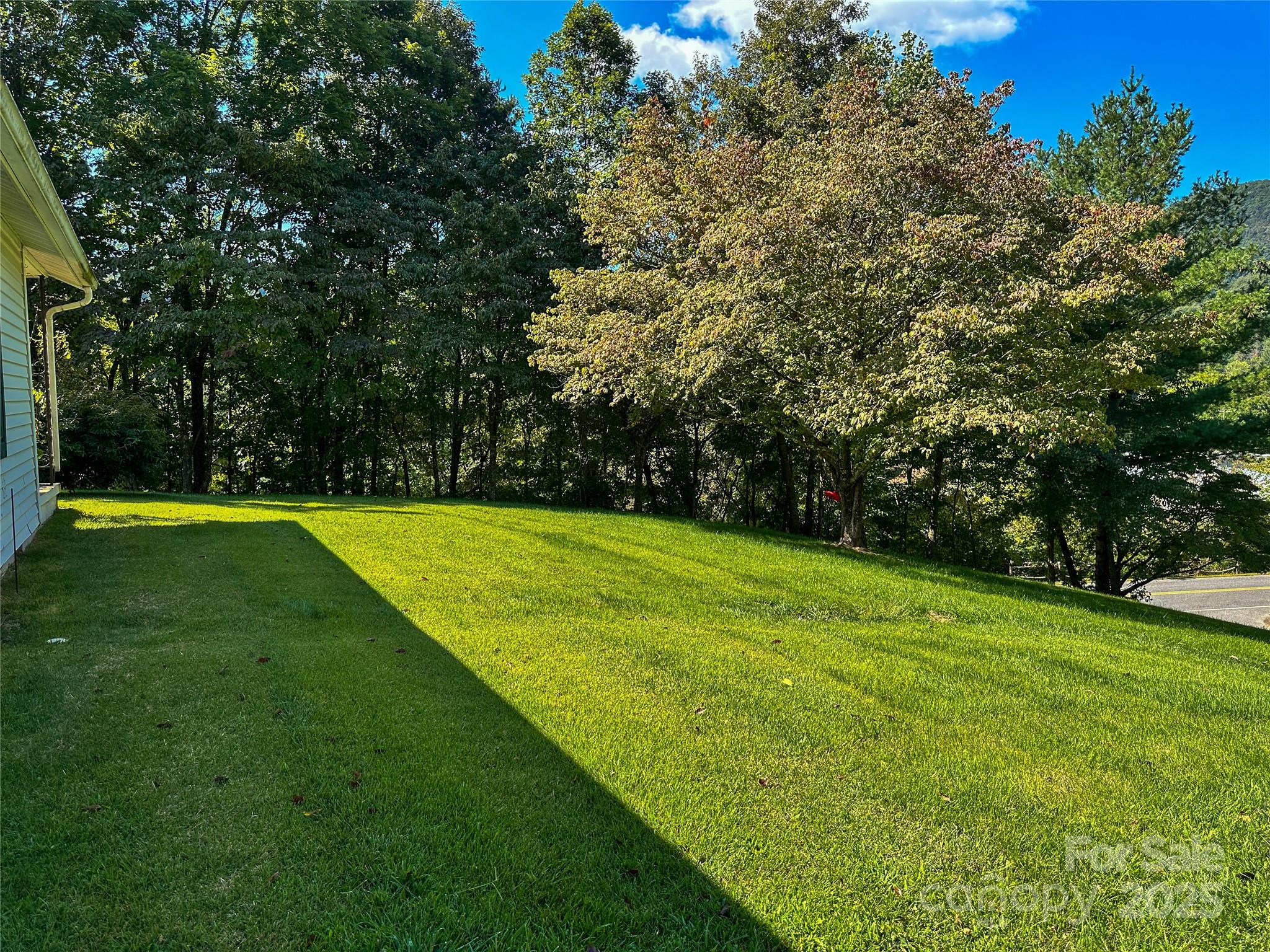 241 Canada Road Tuckasegee, NC 28783 - Photo 24 of 27 a view of a park with trees in the background
