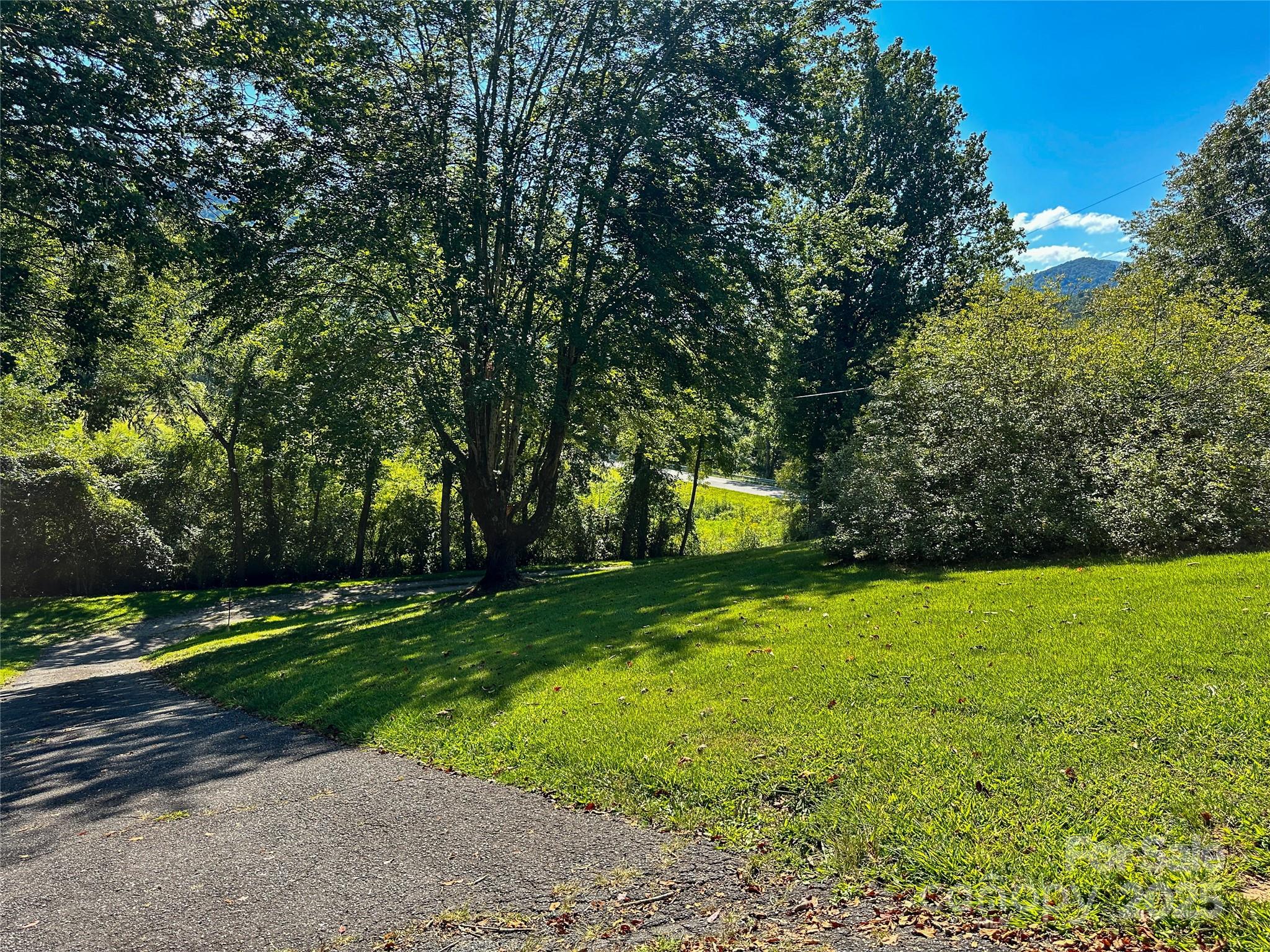 241 Canada Road Tuckasegee, NC 28783 - Photo 25 of 27 a view of a trees with a yard