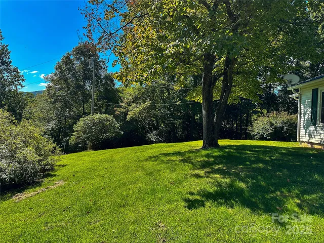 a view of a backyard with large trees