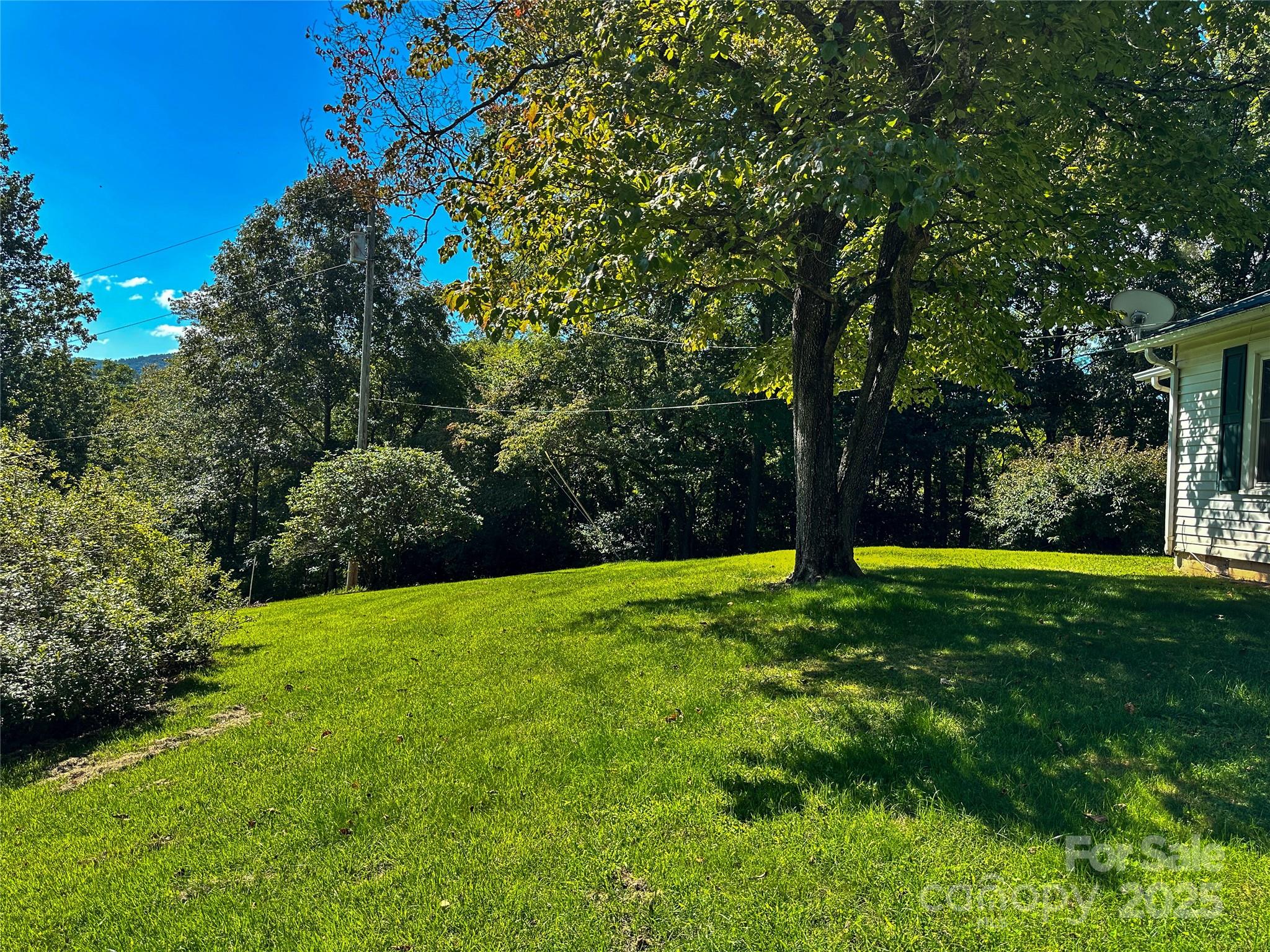 241 Canada Road Tuckasegee, NC 28783 - Photo 26 of 27 a view of a backyard with large trees