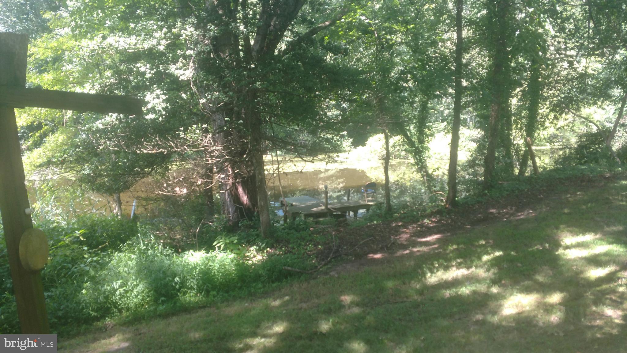 8030 Detour Road Denton, MD 21629 - Photo 2 of 3 a view of forest