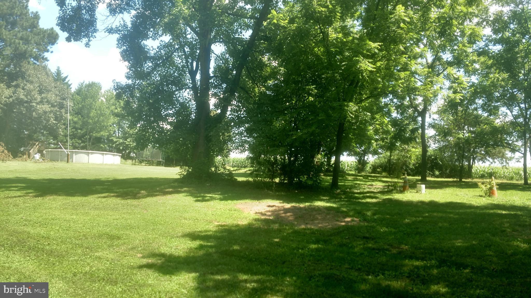 8030 Detour Road Denton, MD 21629 - Photo 3 of 3 a view of a park with large trees