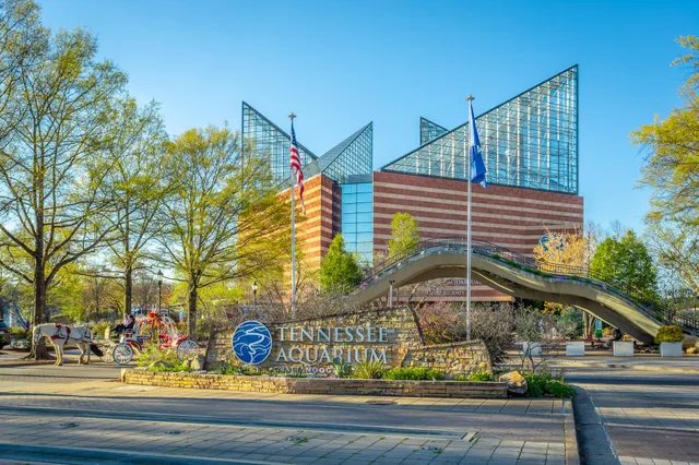 $479,000 | 411 Fairpoint Street, Unit 208, Chattanooga, TN 37405