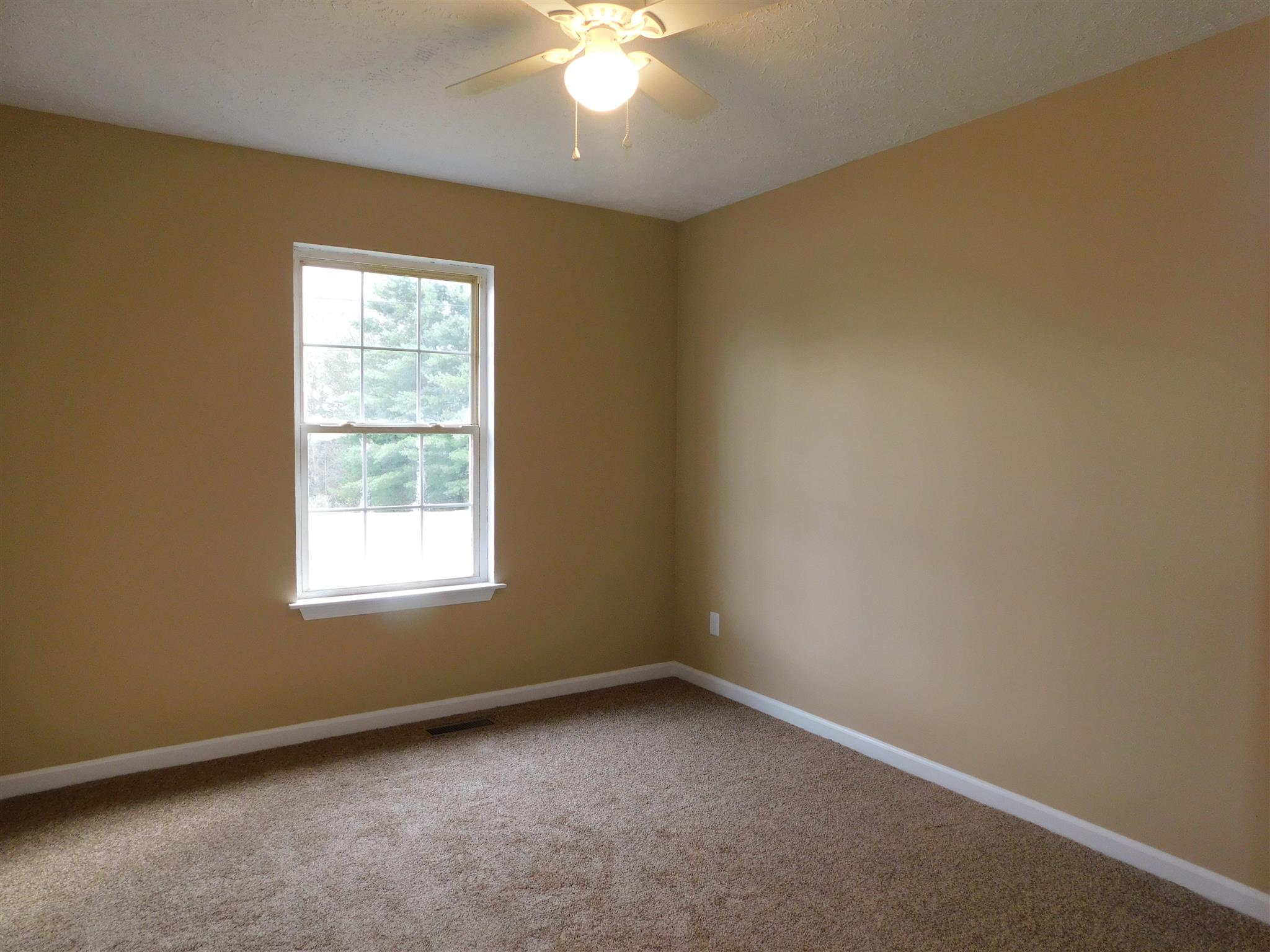 125 Rodeo Drive Columbia, TN 38401 - Photo 9 of 13 Bedroom 2, new carpet, all new paint, new ceiling fan.