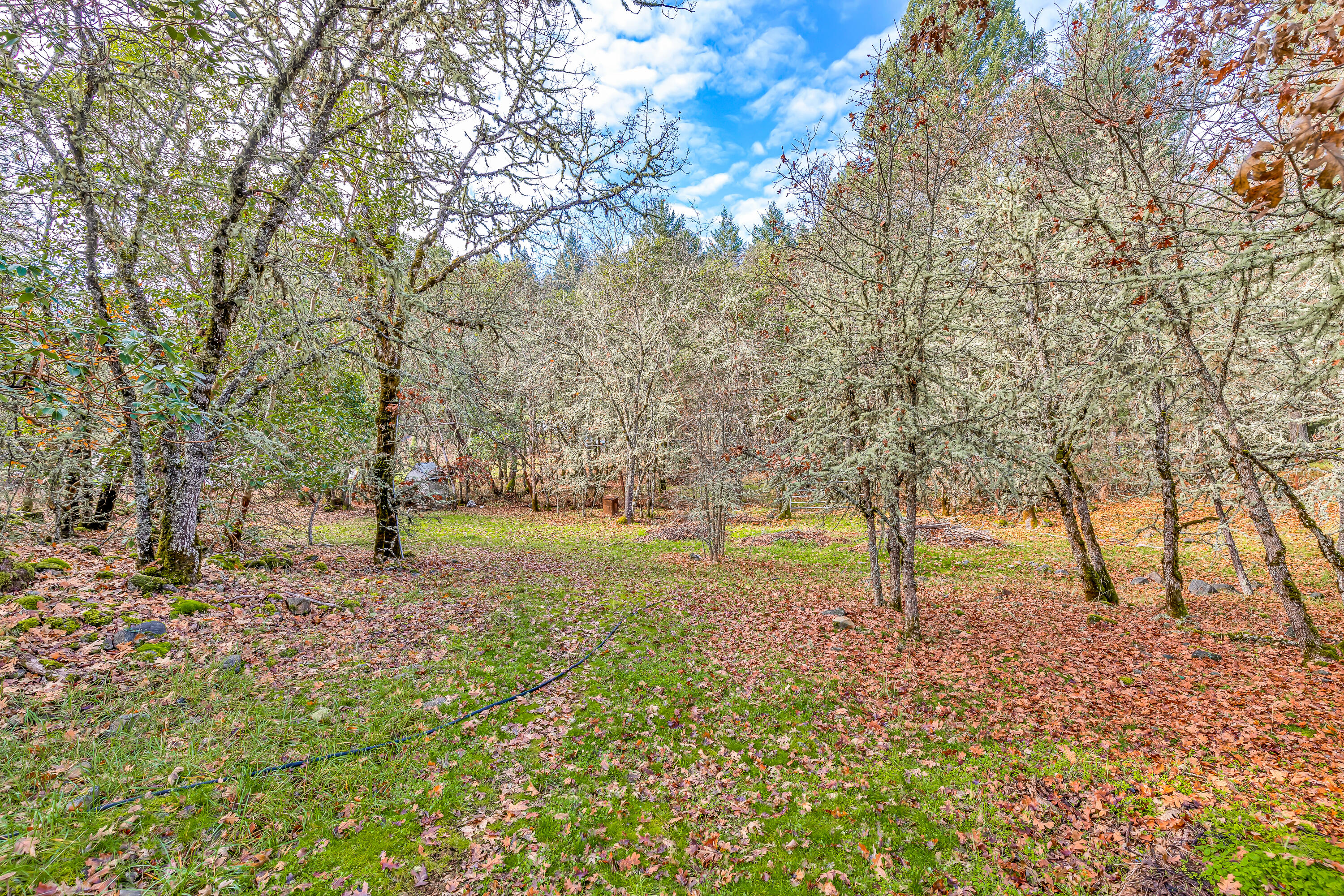 180 Long Acres Road Grants Pass, OR 97527 - Photo 33 of 35 9R9A9160