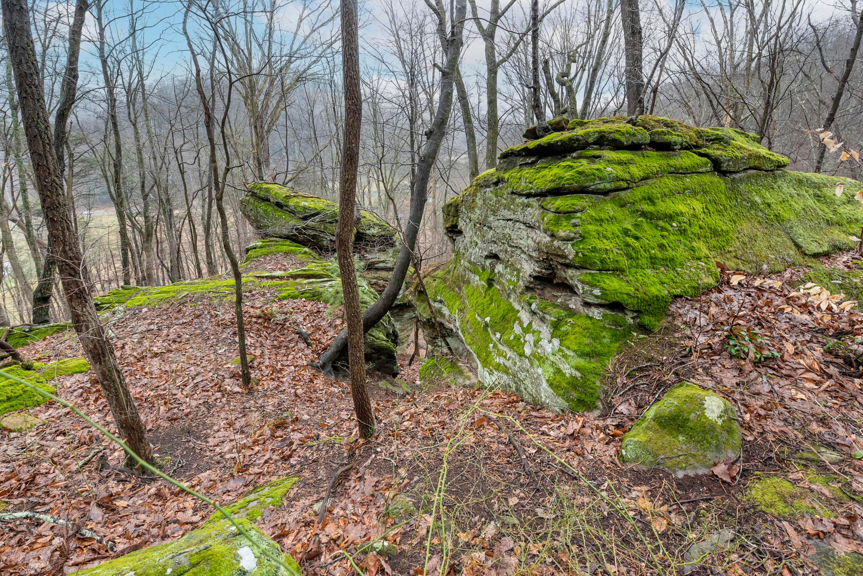 25823 Rockview Road Rockbridge, OH 43149 - Photo 58 of 75 Wooded Lot