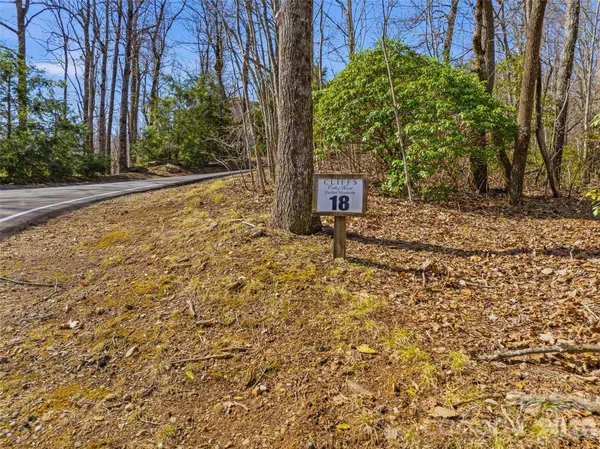 a pathway of a yard