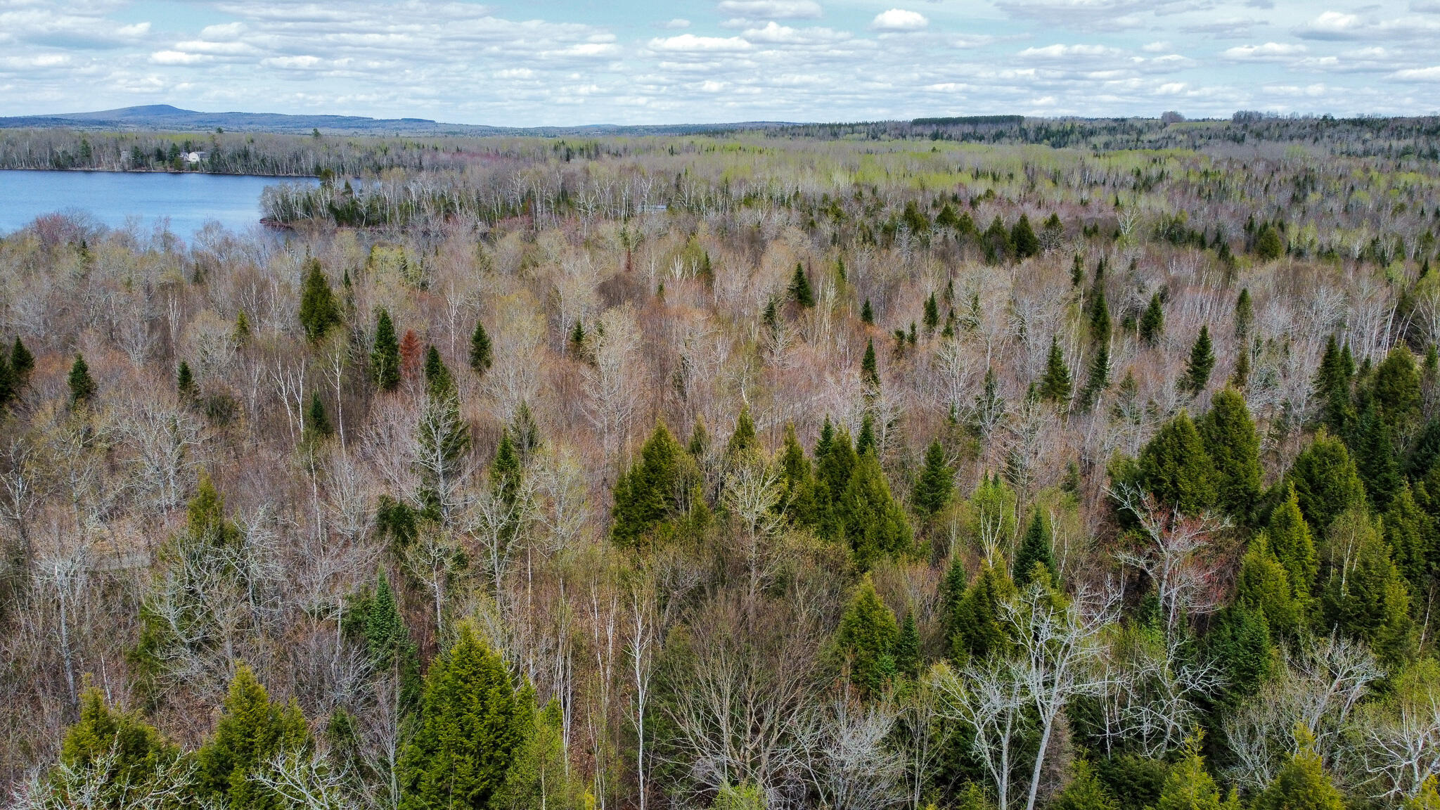 Lot 25 Woodland Ridge Road Danforth, ME 04424 - Photo 2 of 19