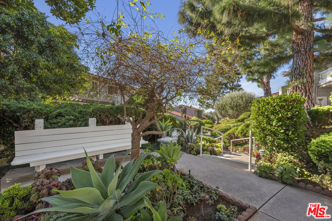 28370 Rey De Copas Lane Malibu, CA 90265 - Photo 33 of 33 a plant is sitting in the middle of a garden